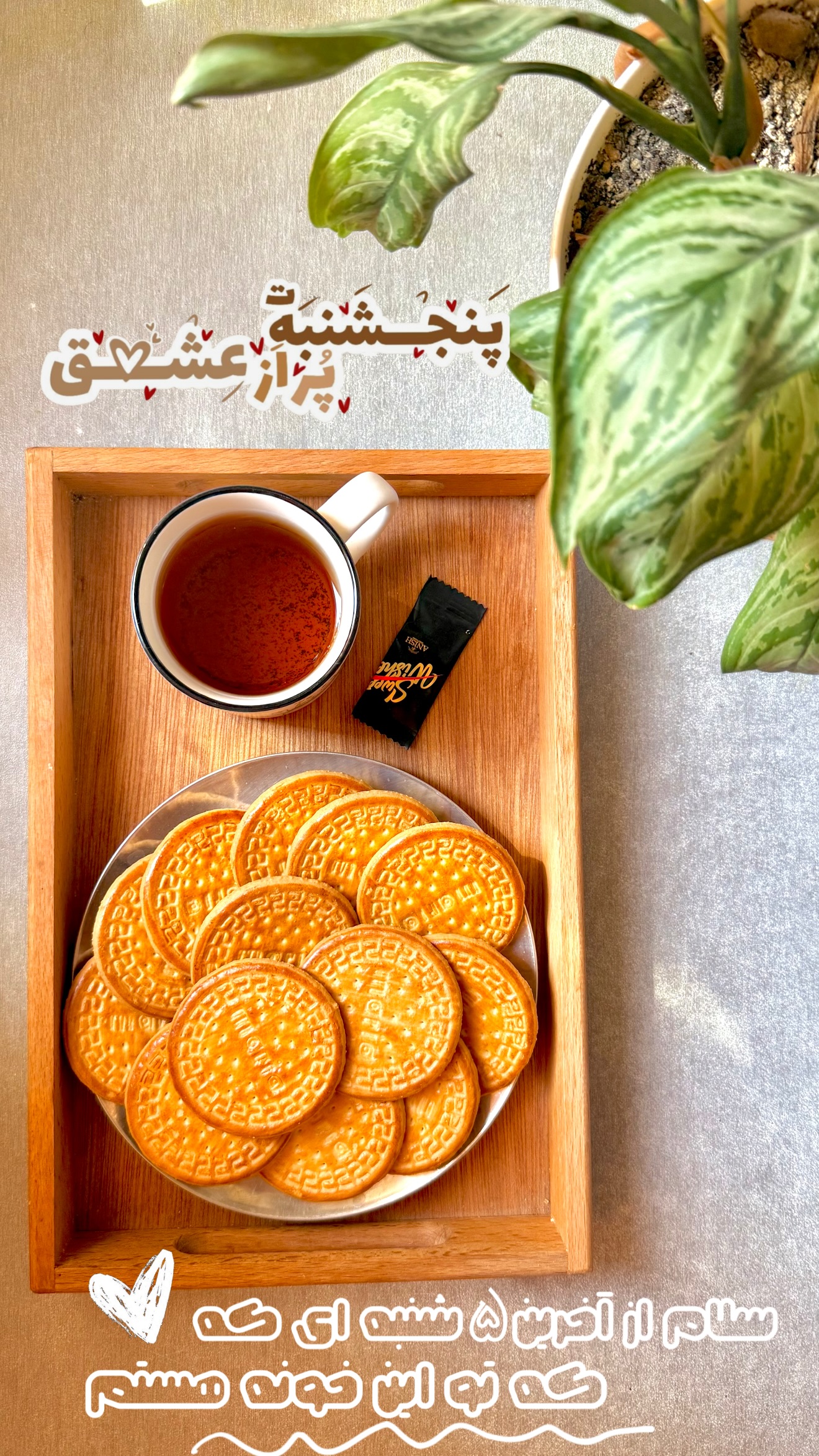  جدید ترین استوری اینستاگرام حانیه بصیری