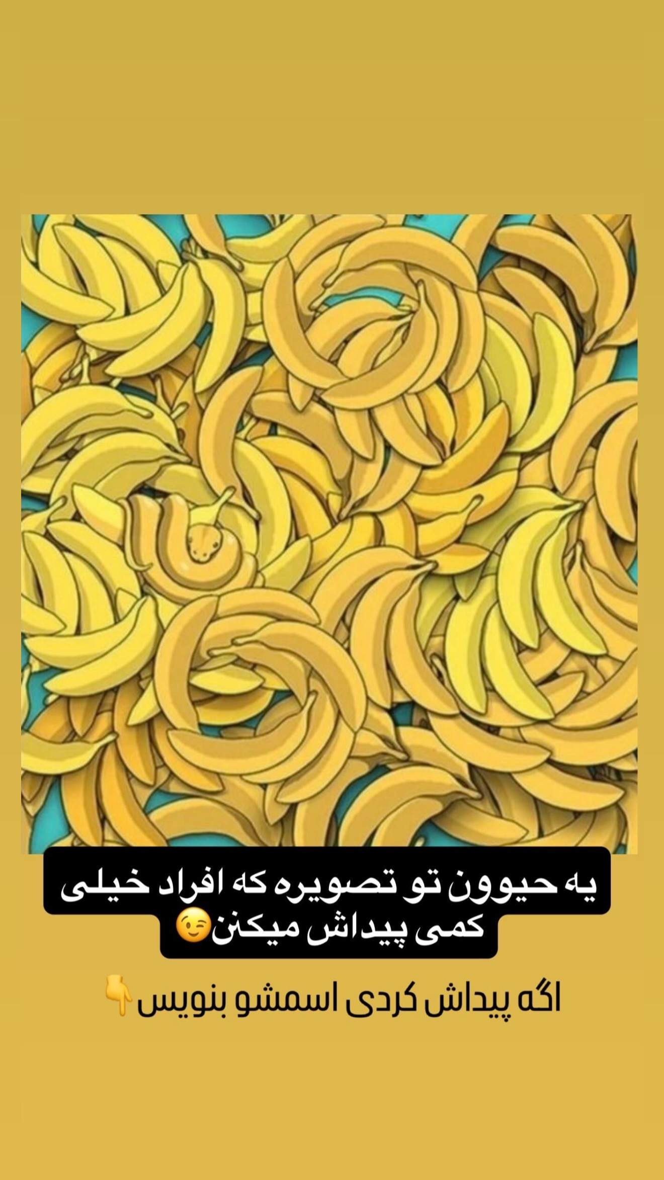  جدید ترین استوری اینستاگرام حانیه بصیری