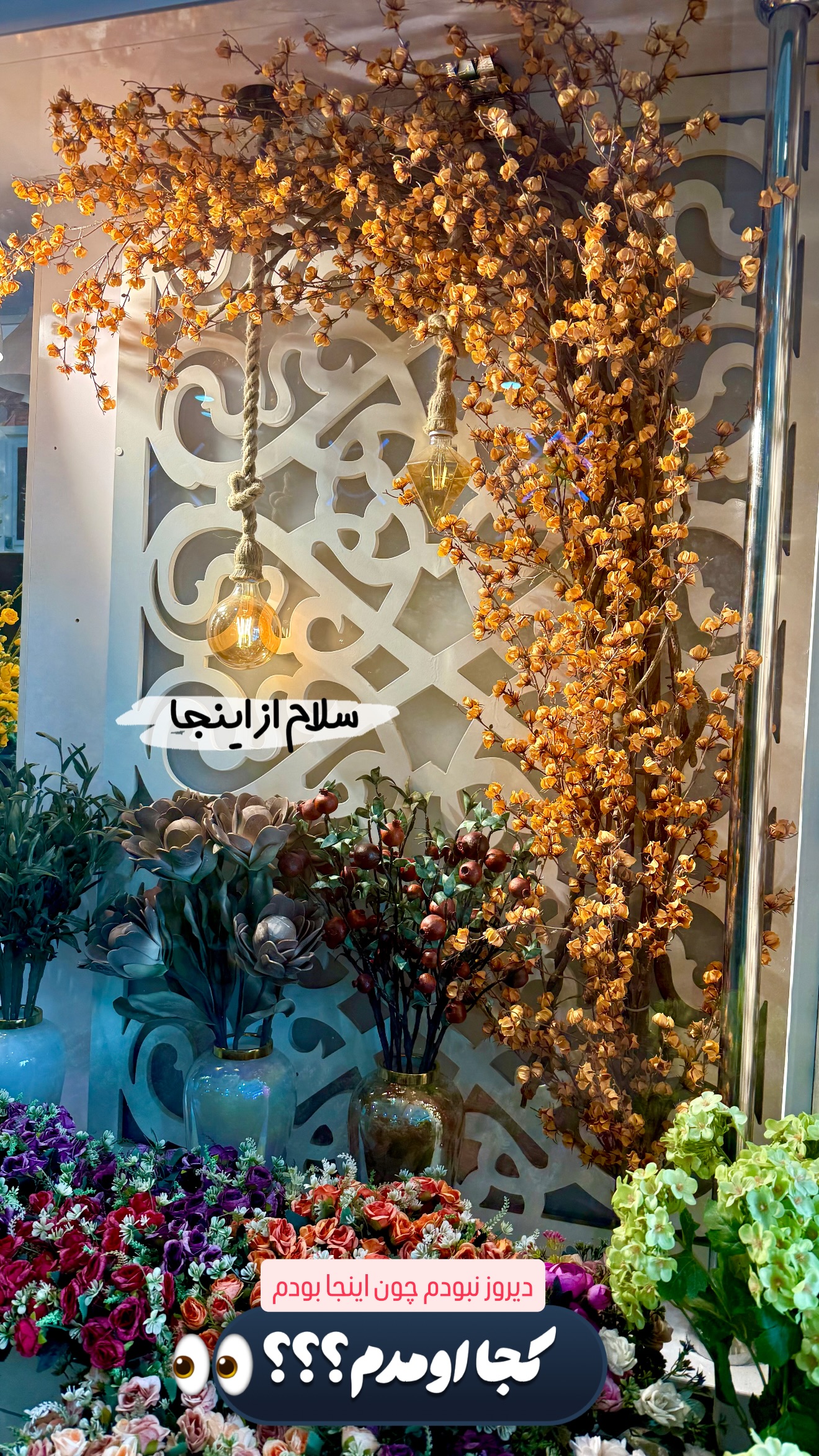  جدید ترین استوری اینستاگرام حانیه بصیری