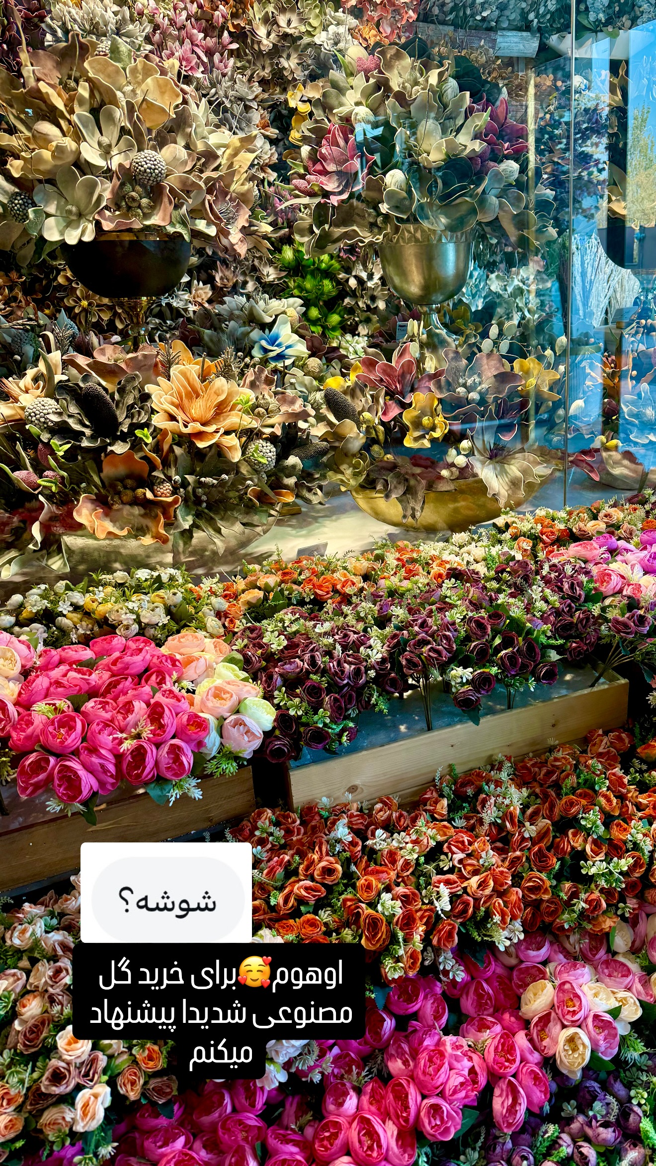  جدید ترین استوری اینستاگرام حانیه بصیری