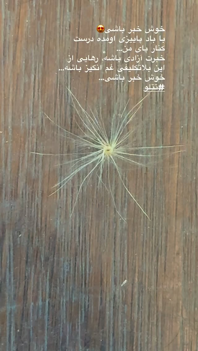  جدید ترین استوری اینستاگرام نغمه مقصودلو