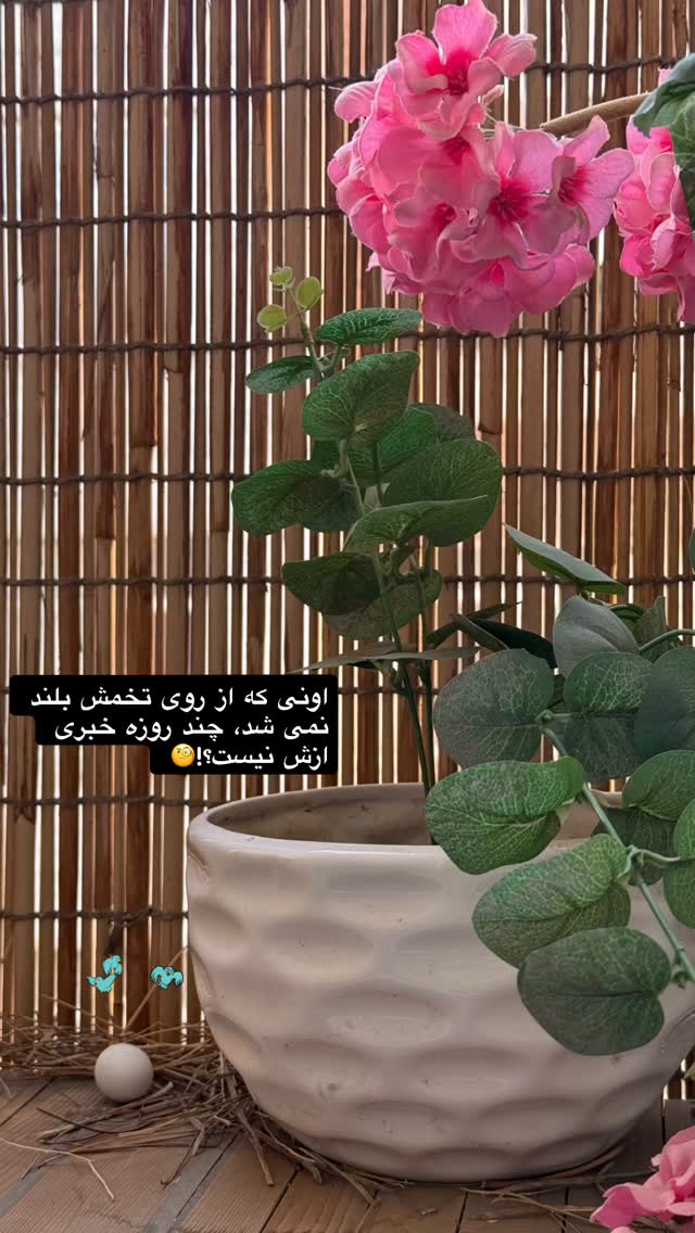  جدید ترین استوری اینستاگرام نغمه مقصودلو
