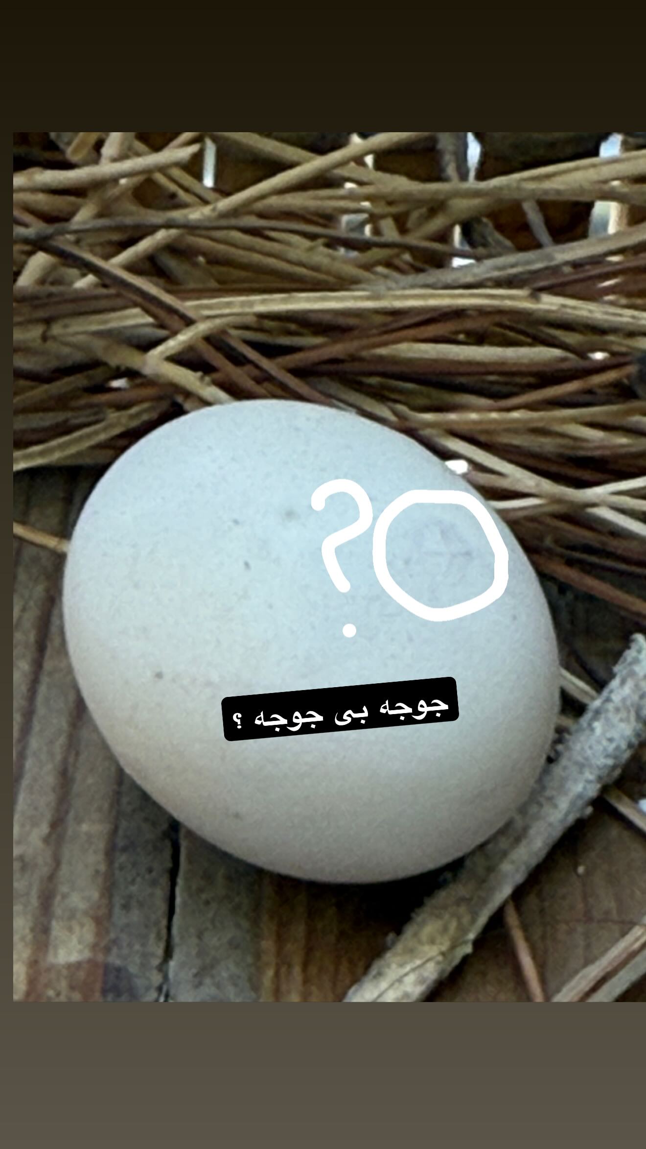  جدید ترین استوری اینستاگرام نغمه مقصودلو