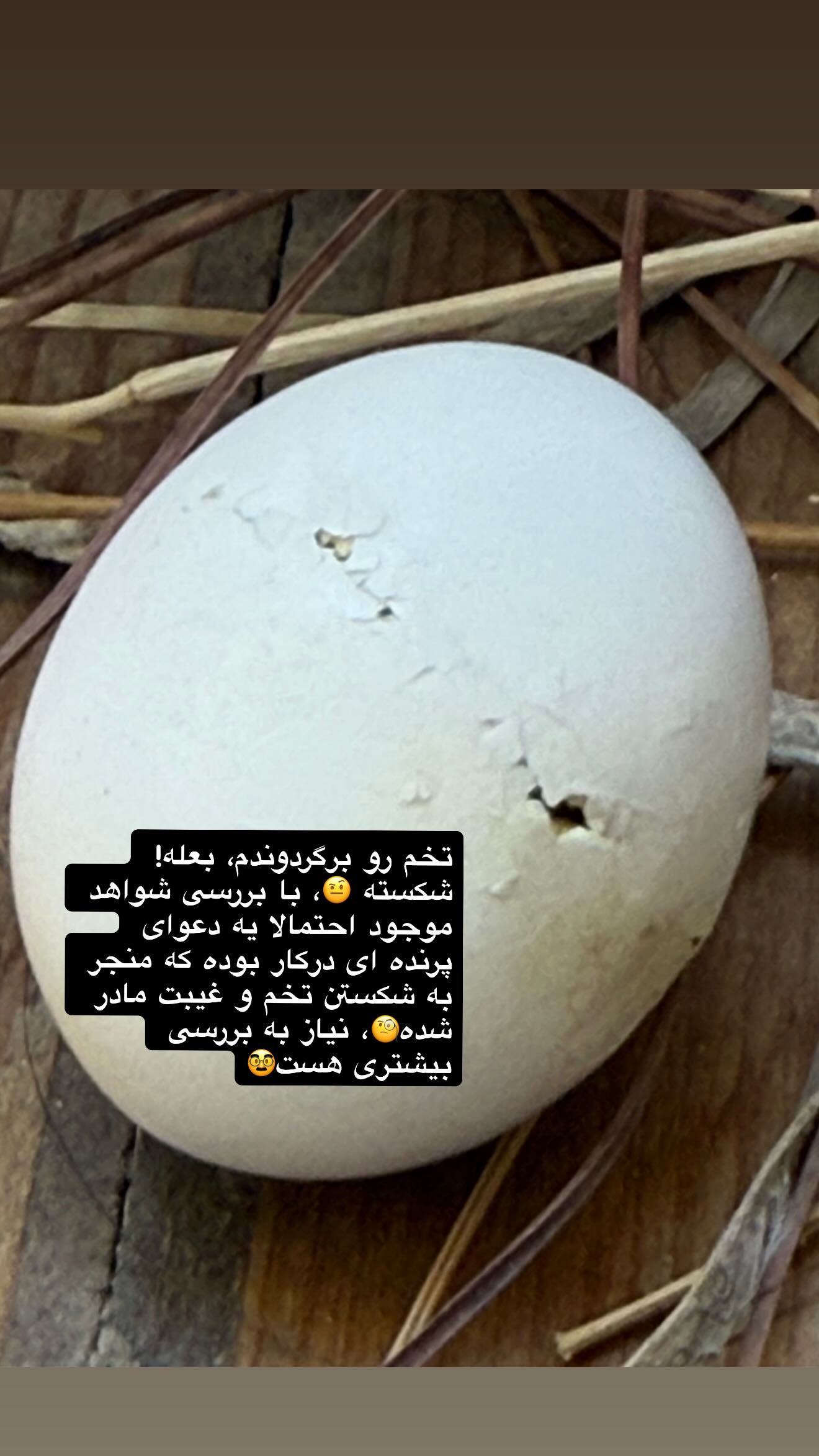  جدید ترین استوری اینستاگرام نغمه مقصودلو