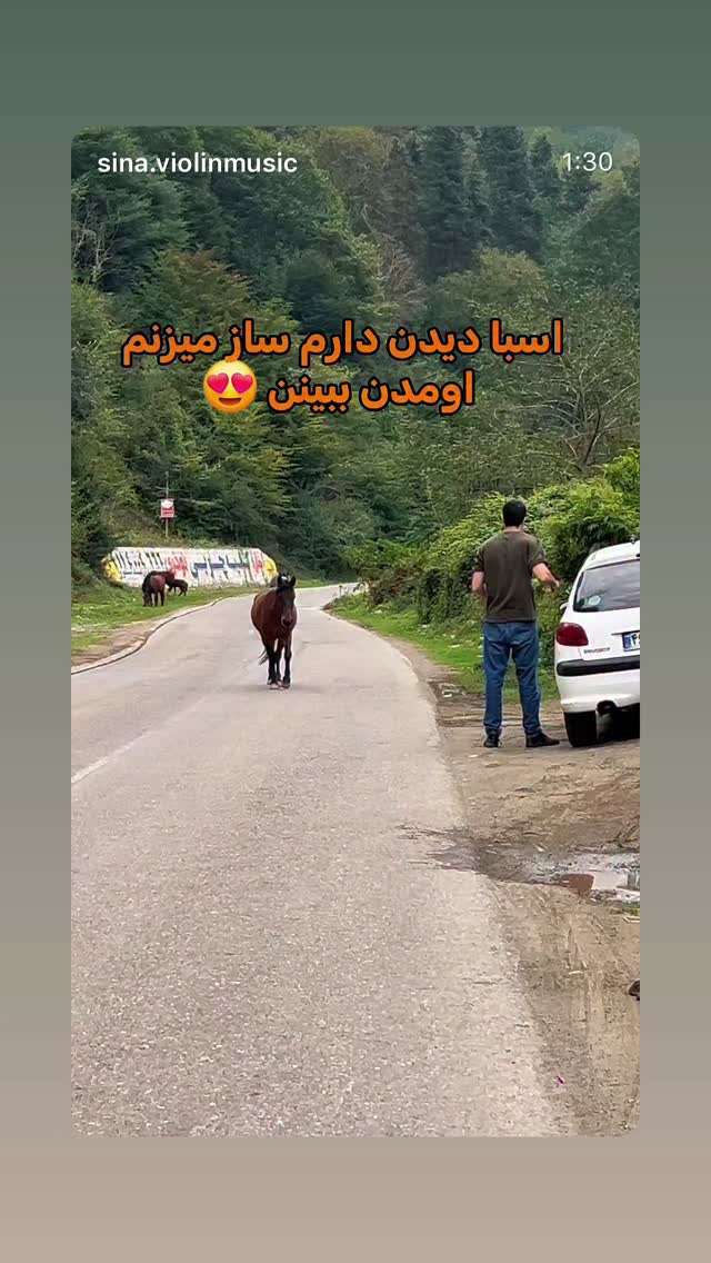 جدید ترین استوری اینستاگرام نغمه مقصودلو