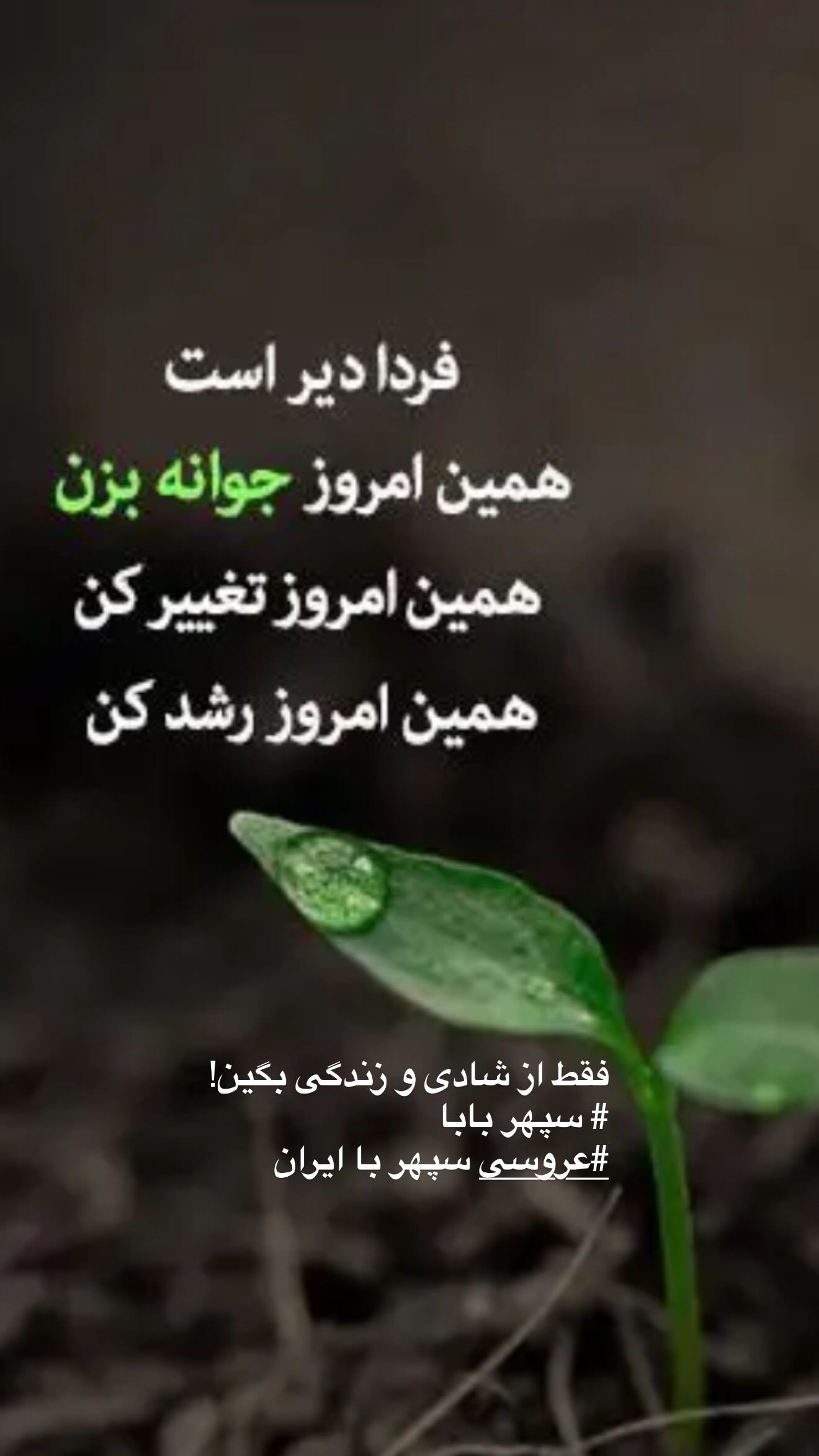  جدید ترین استوری اینستاگرام نغمه مقصودلو