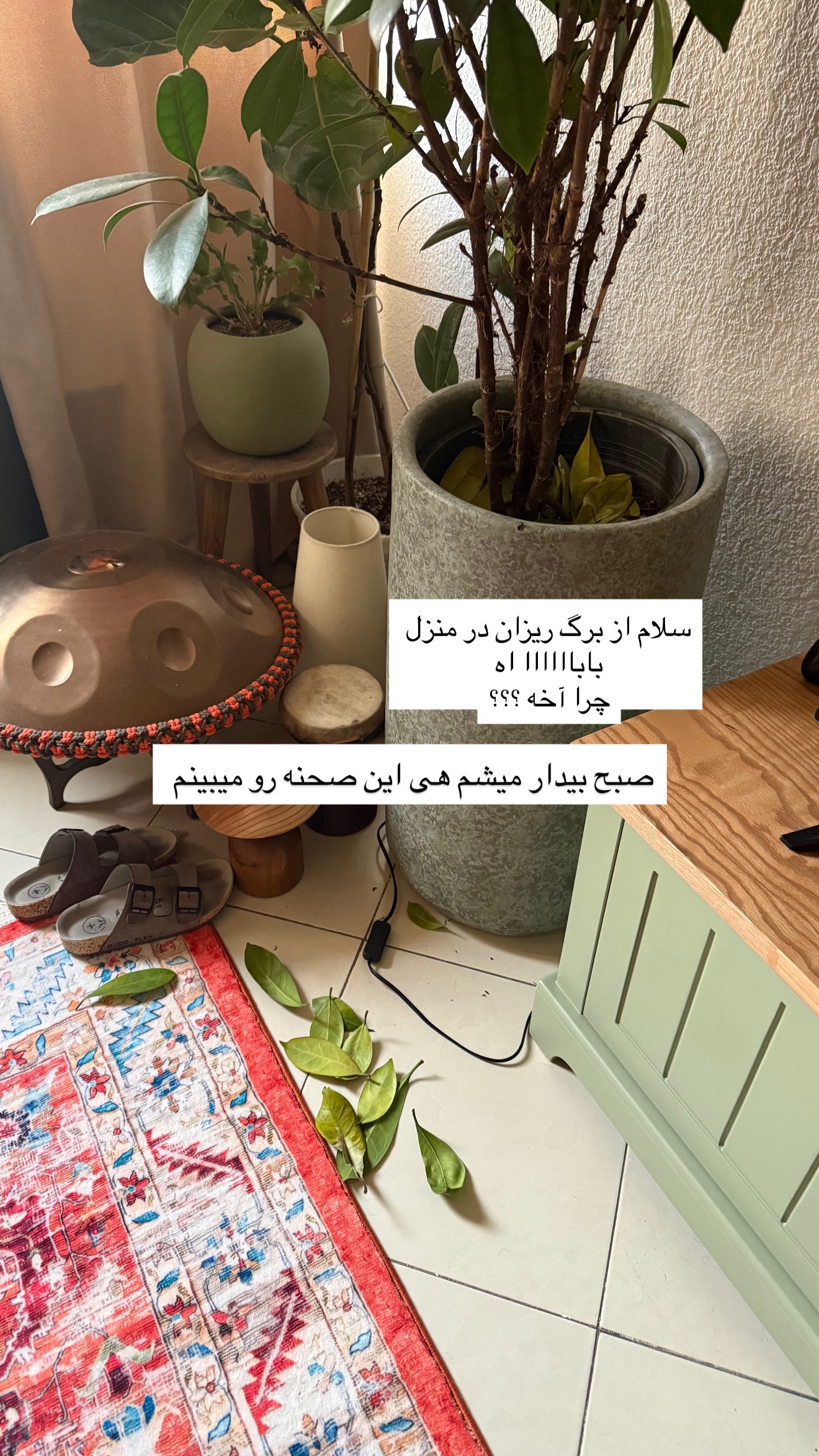  جدید ترین استوری اینستاگرام نغمه مرادآبادى