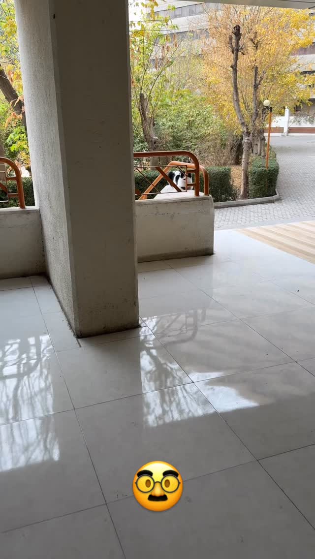  جدید ترین استوری اینستاگرام نغمه مرادآبادى