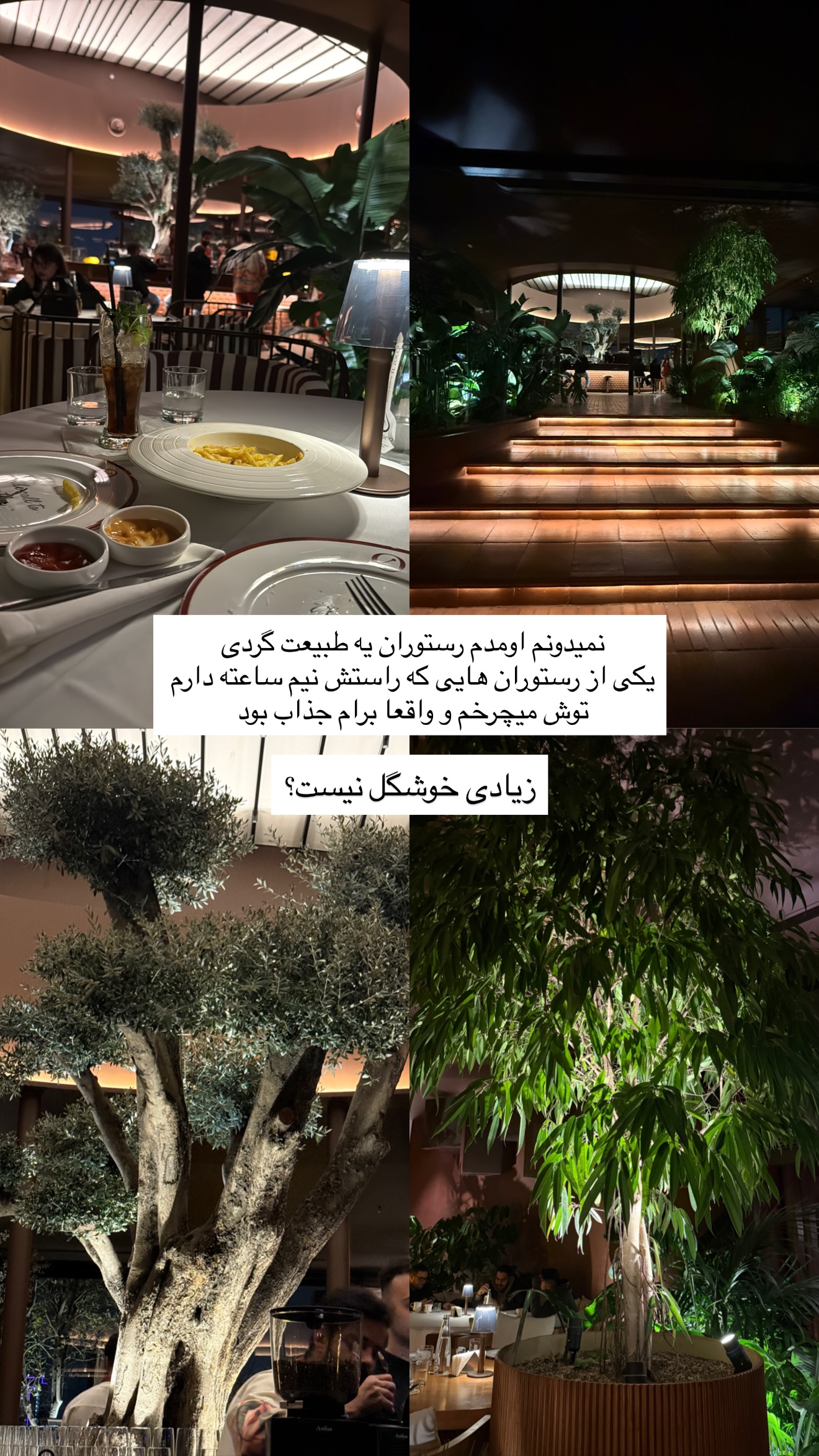  جدید ترین استوری اینستاگرام نغمه مرادآبادى