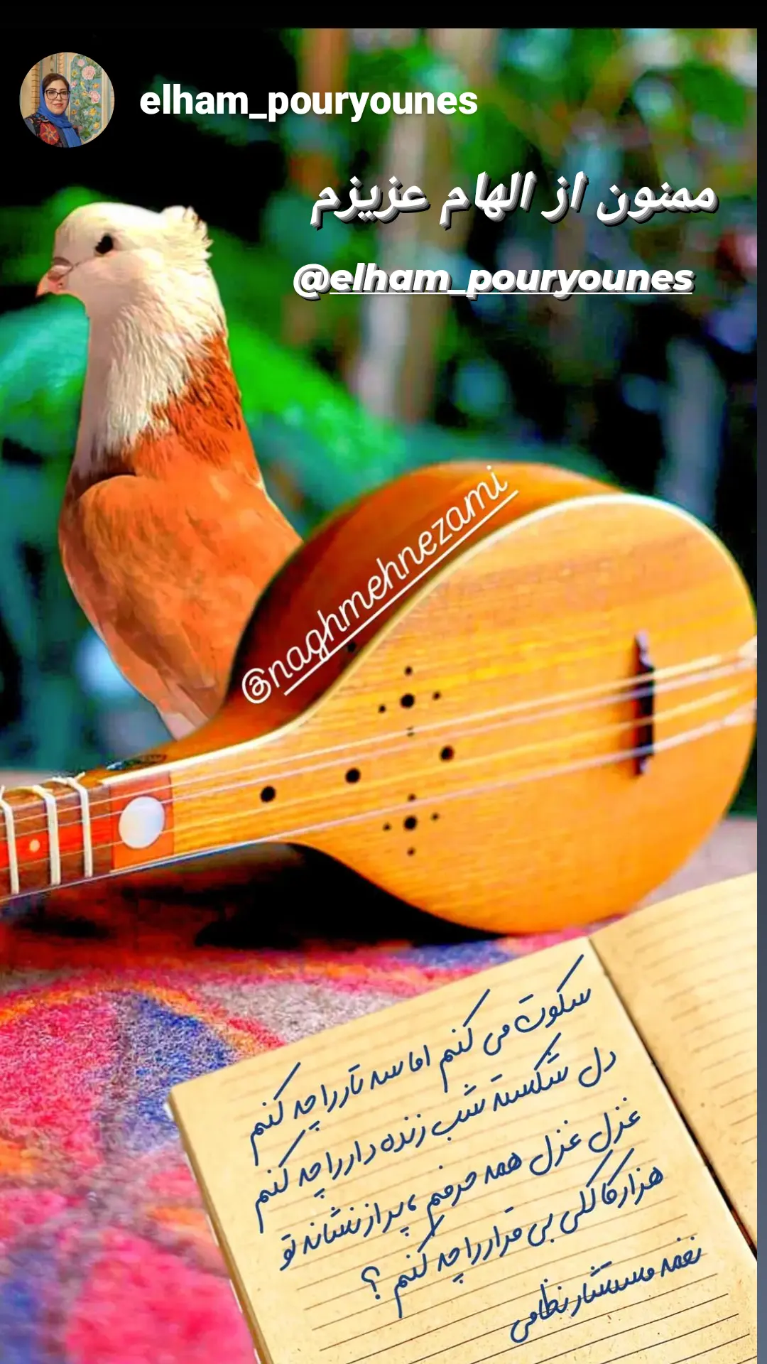  جدید ترین استوری اینستاگرام نغمه مستشارنظامی