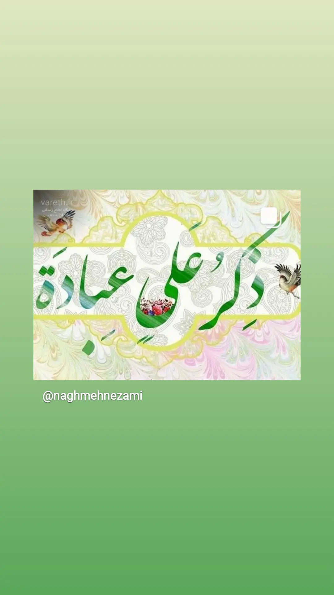  جدید ترین استوری اینستاگرام نغمه مستشارنظامی