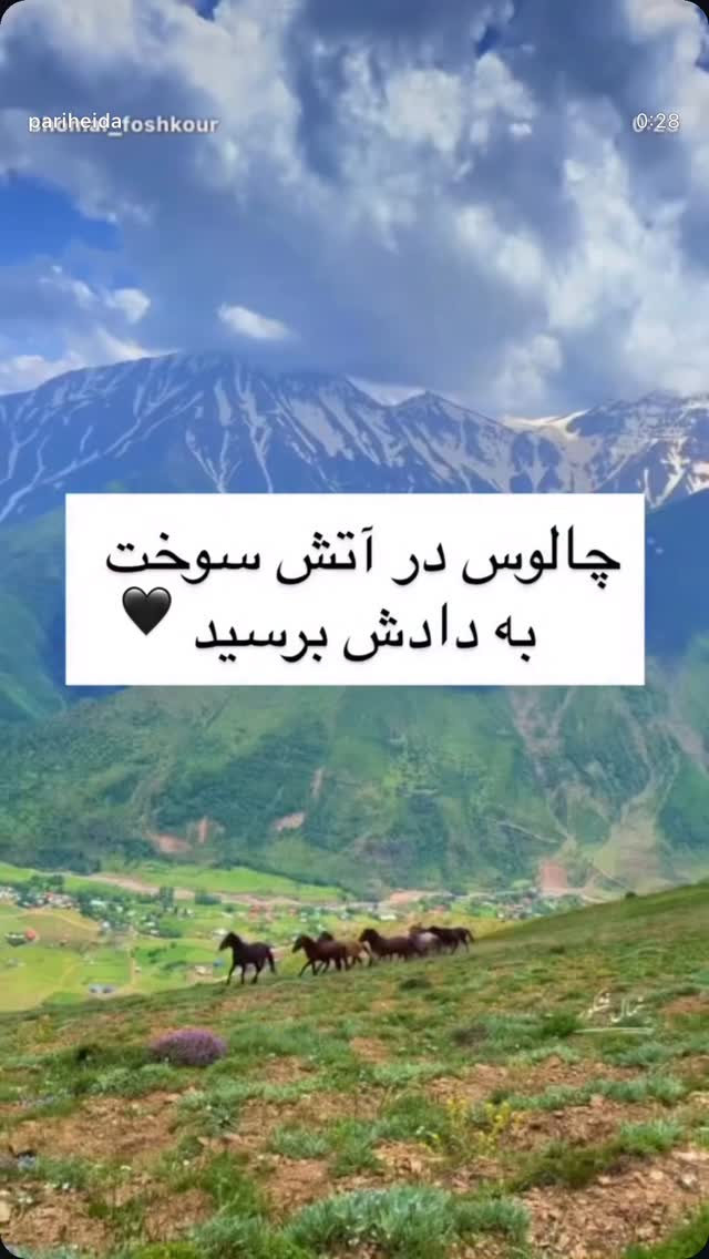  جدید ترین استوری اینستاگرام ناهید کیانی