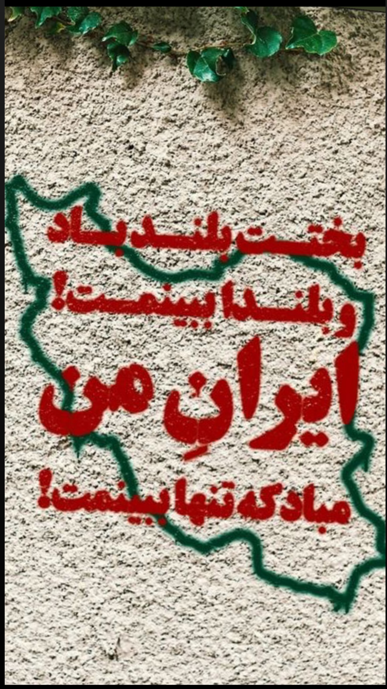  جدید ترین استوری اینستاگرام نجم الدين شريعتي