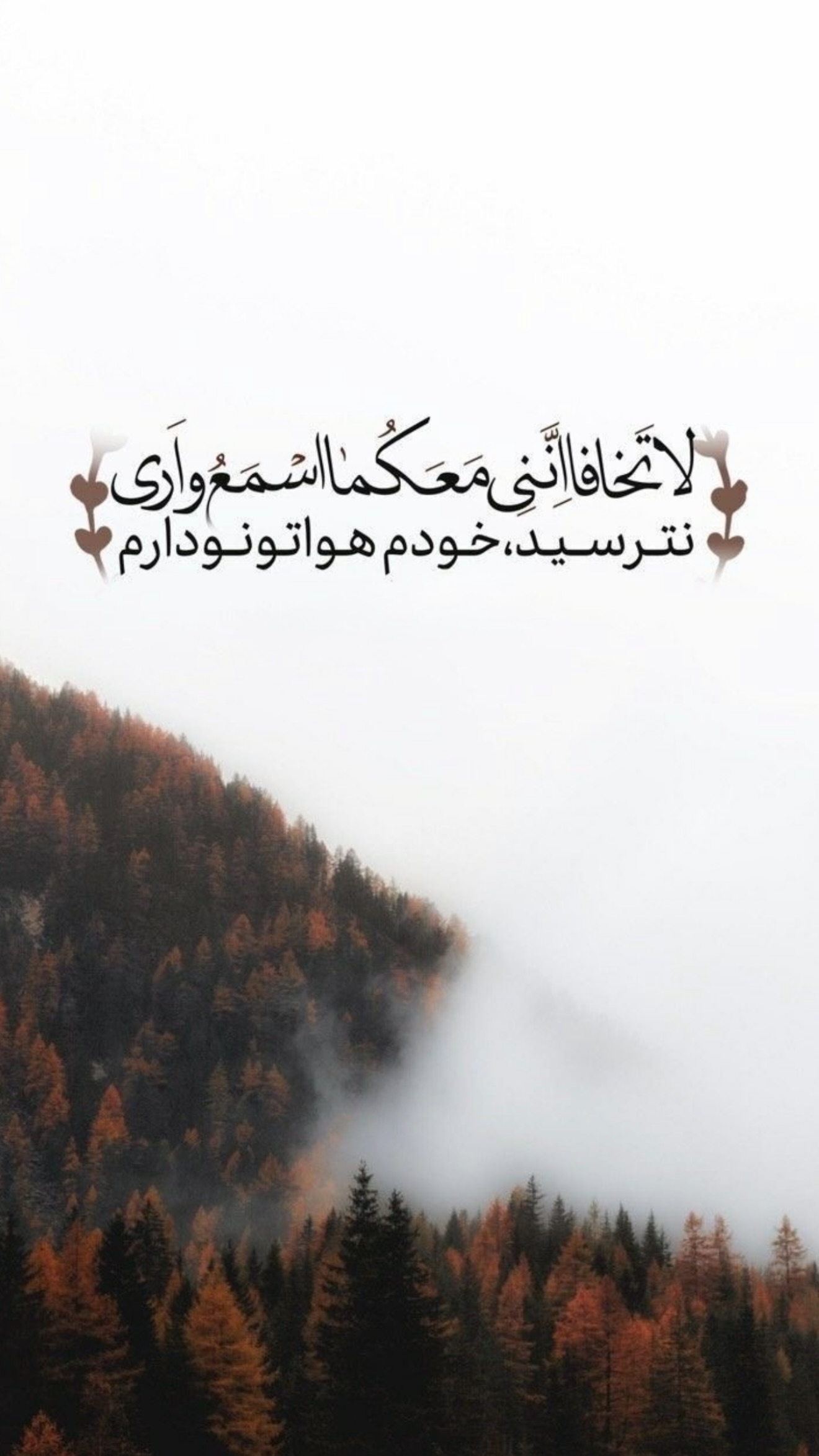  جدید ترین استوری اینستاگرام نجم الدين شريعتي