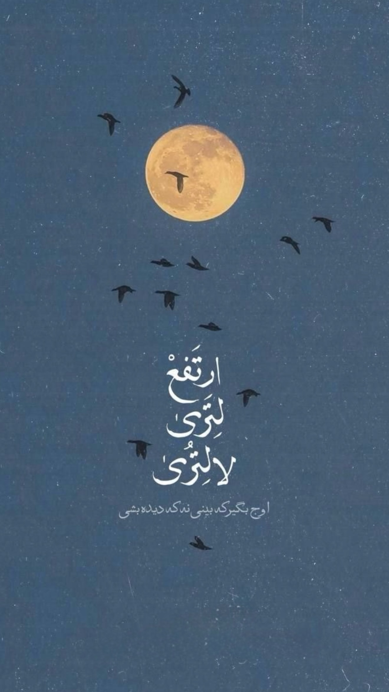  جدید ترین استوری اینستاگرام نجم الدين شريعتي