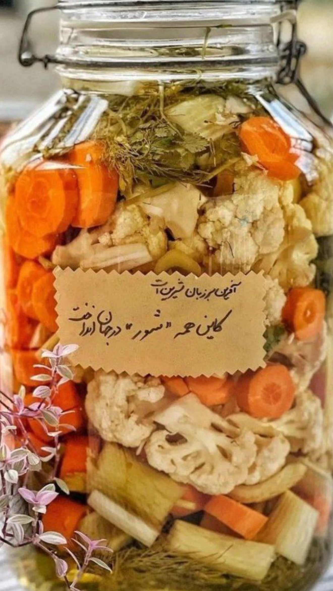  جدید ترین استوری اینستاگرام نجم الدين شريعتي