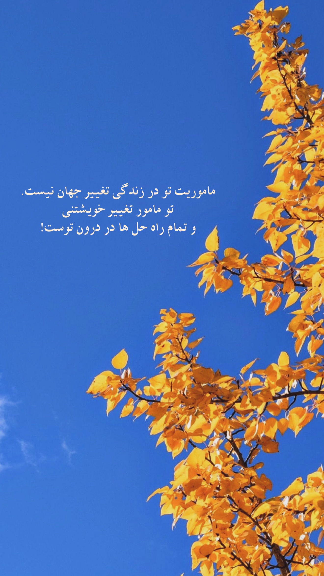  جدید ترین استوری اینستاگرام نجم الدين شريعتي