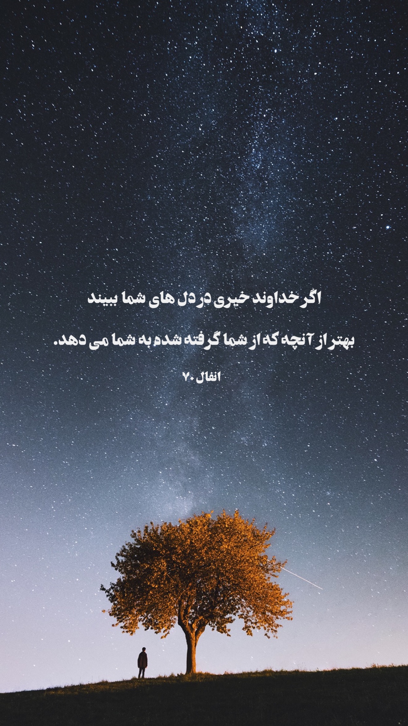  جدید ترین استوری اینستاگرام نجم الدين شريعتي