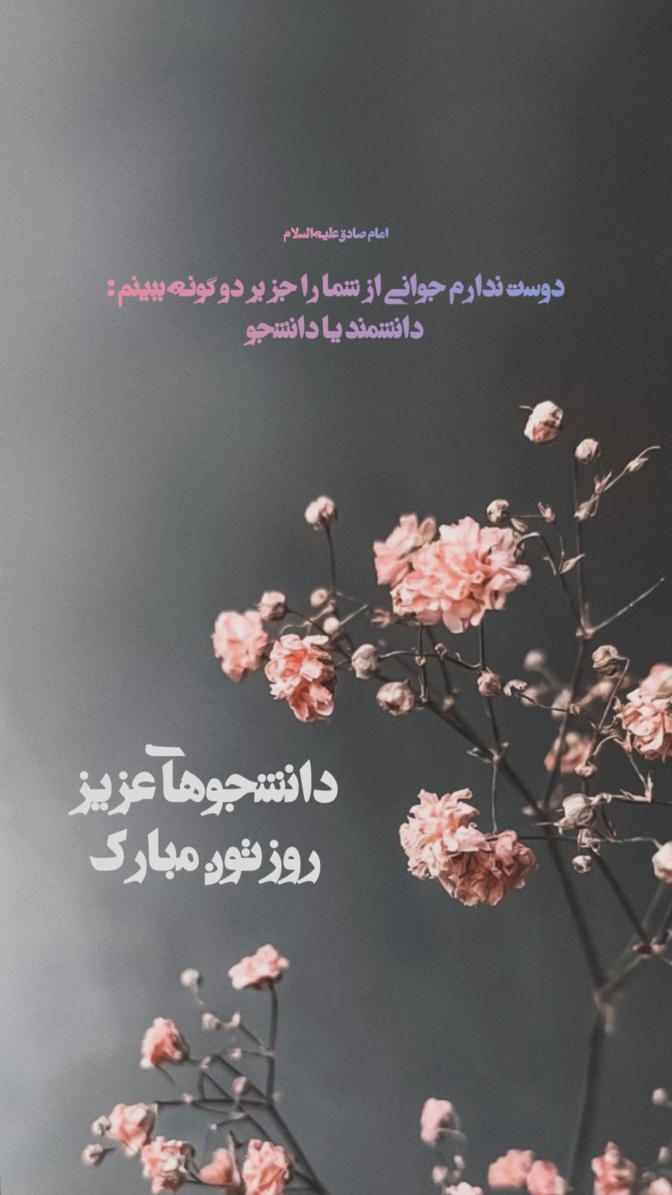  جدید ترین استوری اینستاگرام نجم الدين شريعتي