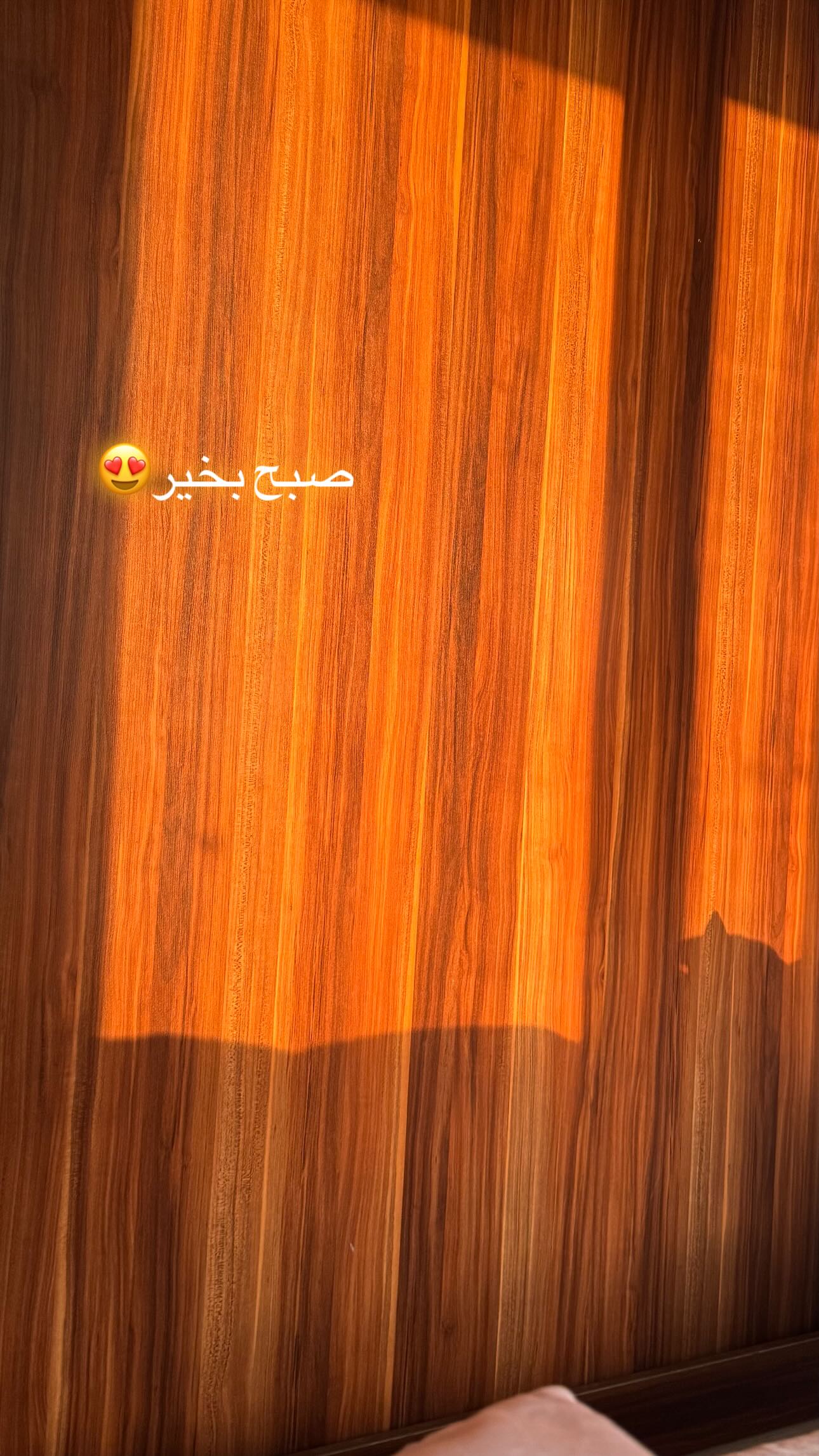  جدید ترین استوری اینستاگرام نجمه جودکی