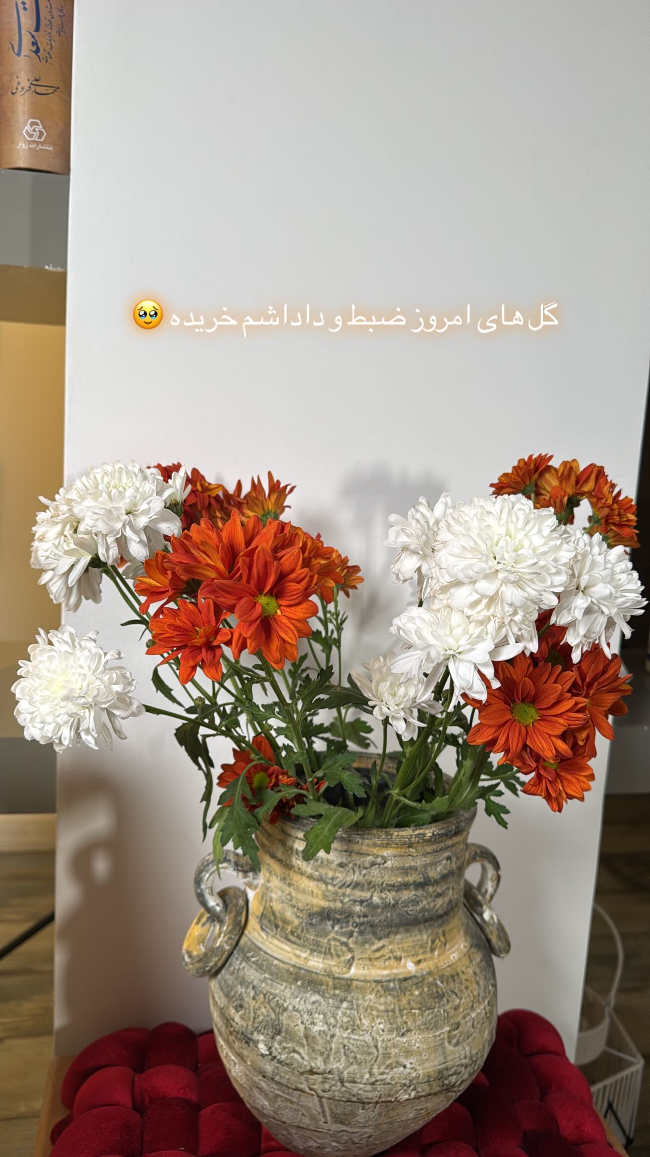  جدید ترین استوری اینستاگرام نجمه جودکی