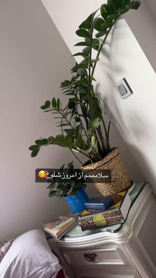  جدید ترین استوری اینستاگرام نجمه جودکی