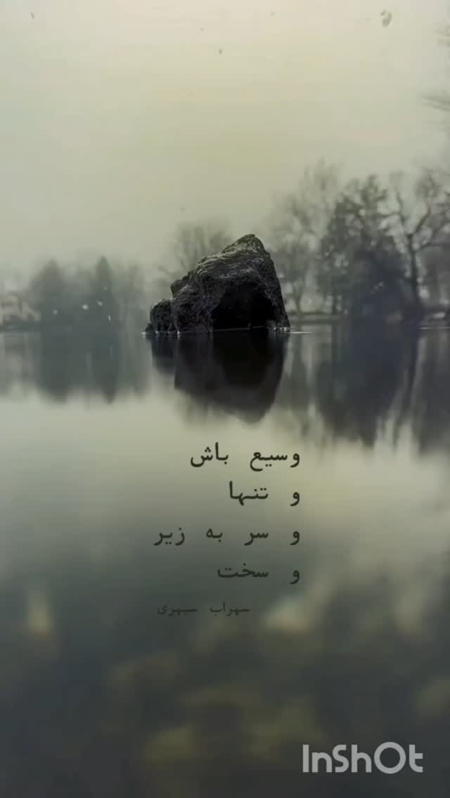  جدید ترین استوری اینستاگرام نرگس فولادوند