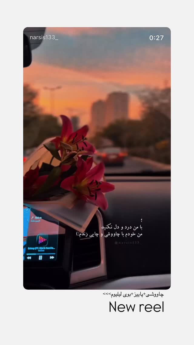  جدید ترین استوری اینستاگرام نرگس