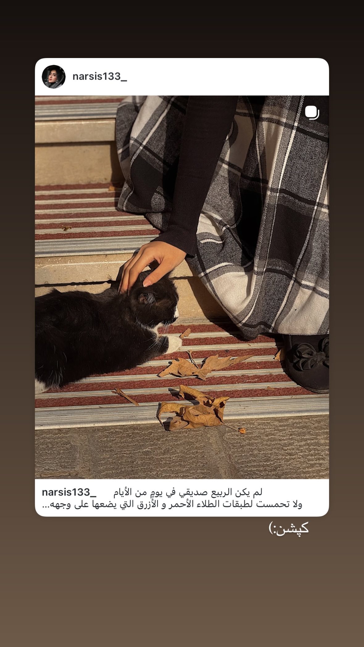  جدید ترین استوری اینستاگرام نرگس
