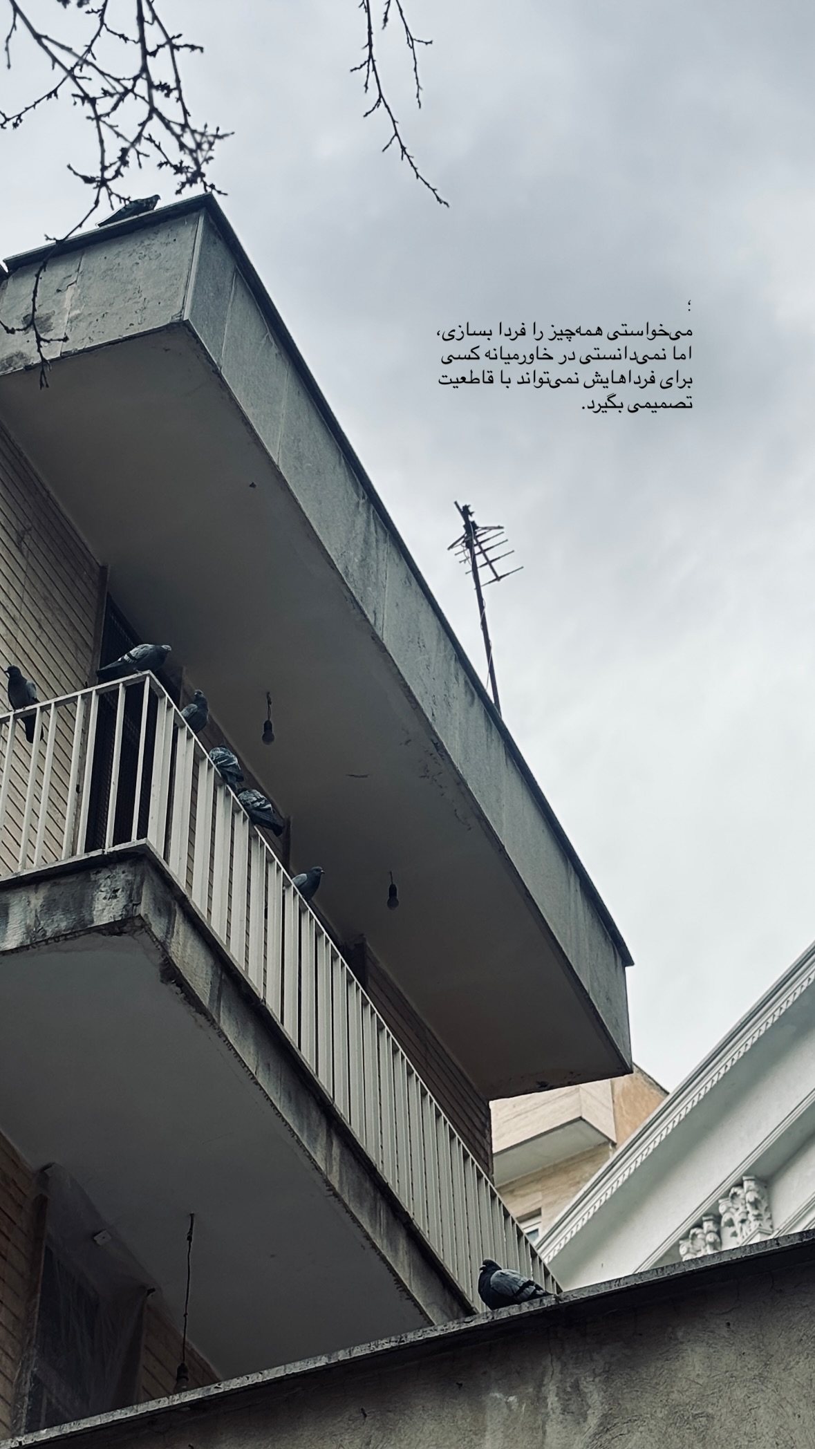  جدید ترین استوری اینستاگرام نرگس