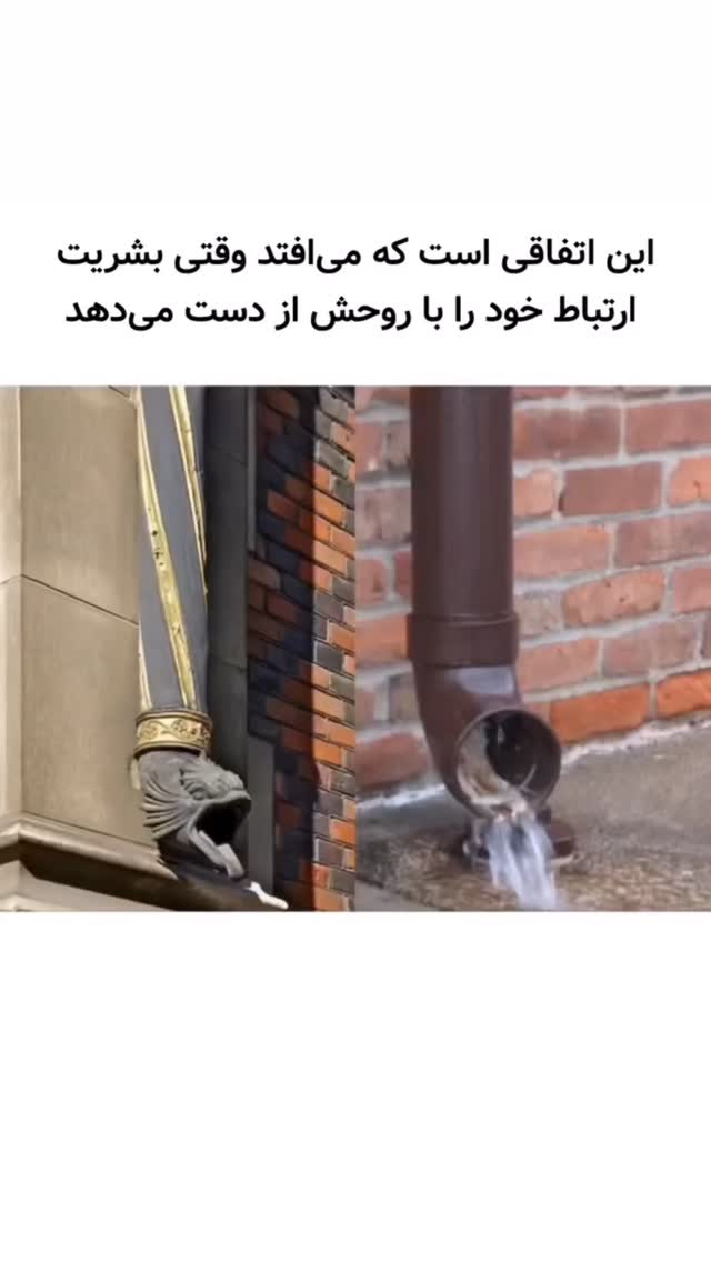  جدید ترین استوری اینستاگرام ناصر محمدی