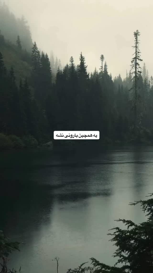  جدید ترین استوری اینستاگرام ناصر محمدی