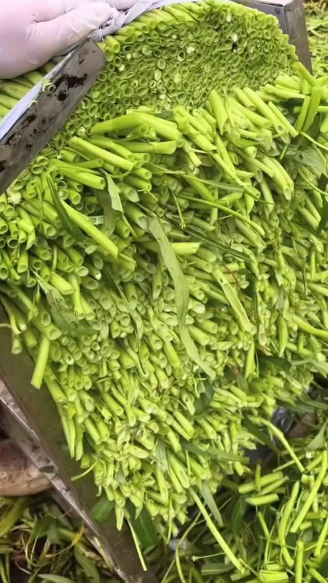  جدید ترین استوری اینستاگرام ناصر محمدی