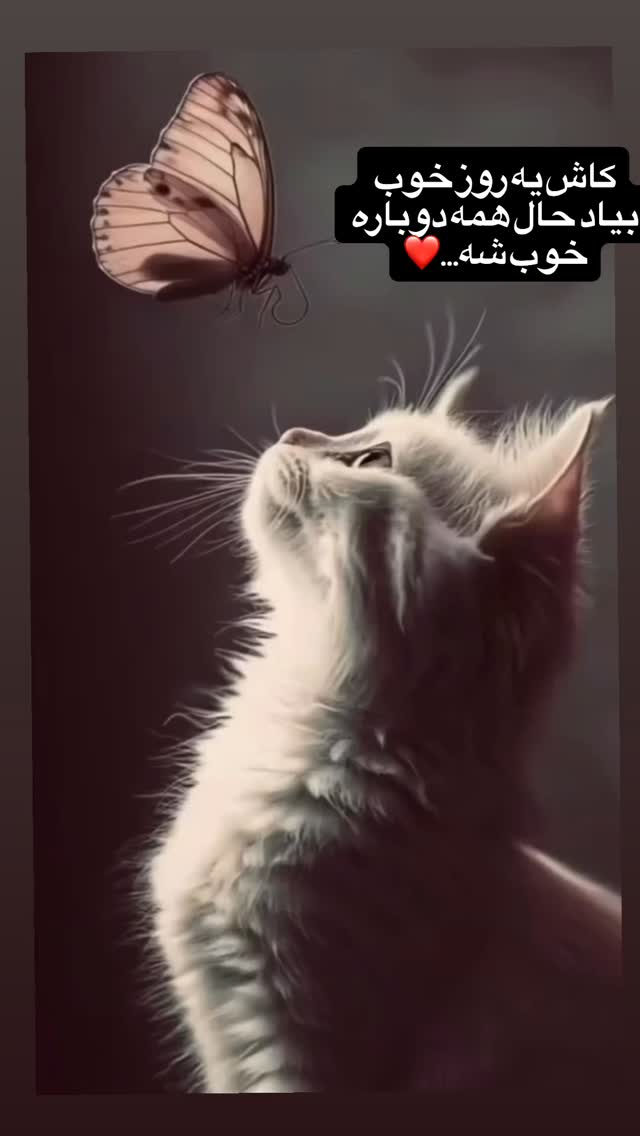  جدید ترین استوری اینستاگرام ناصر زينلي