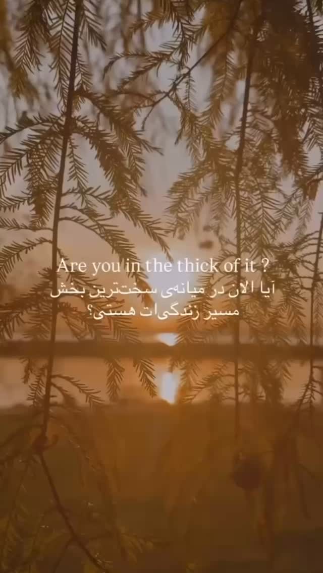  جدید ترین استوری اینستاگرام ناصر زينلي