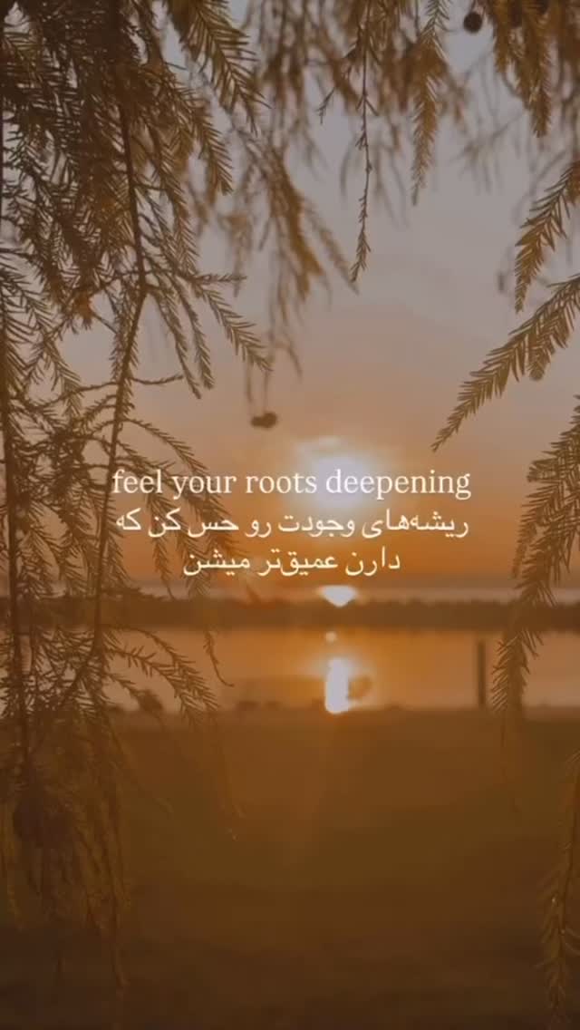  جدید ترین استوری اینستاگرام ناصر زينلي