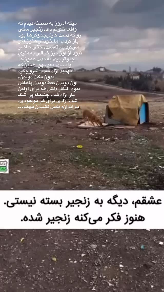  جدید ترین استوری اینستاگرام ناصر زينلي