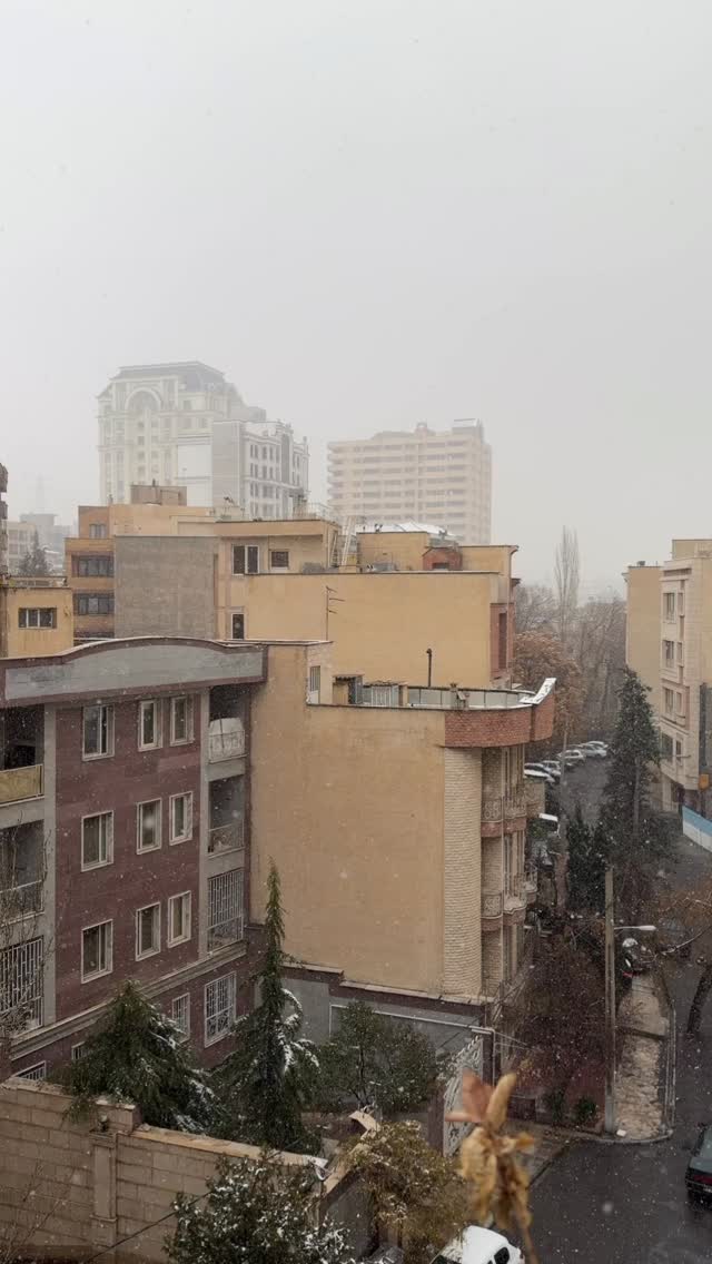  جدید ترین استوری اینستاگرام نسیم بهادورنیا