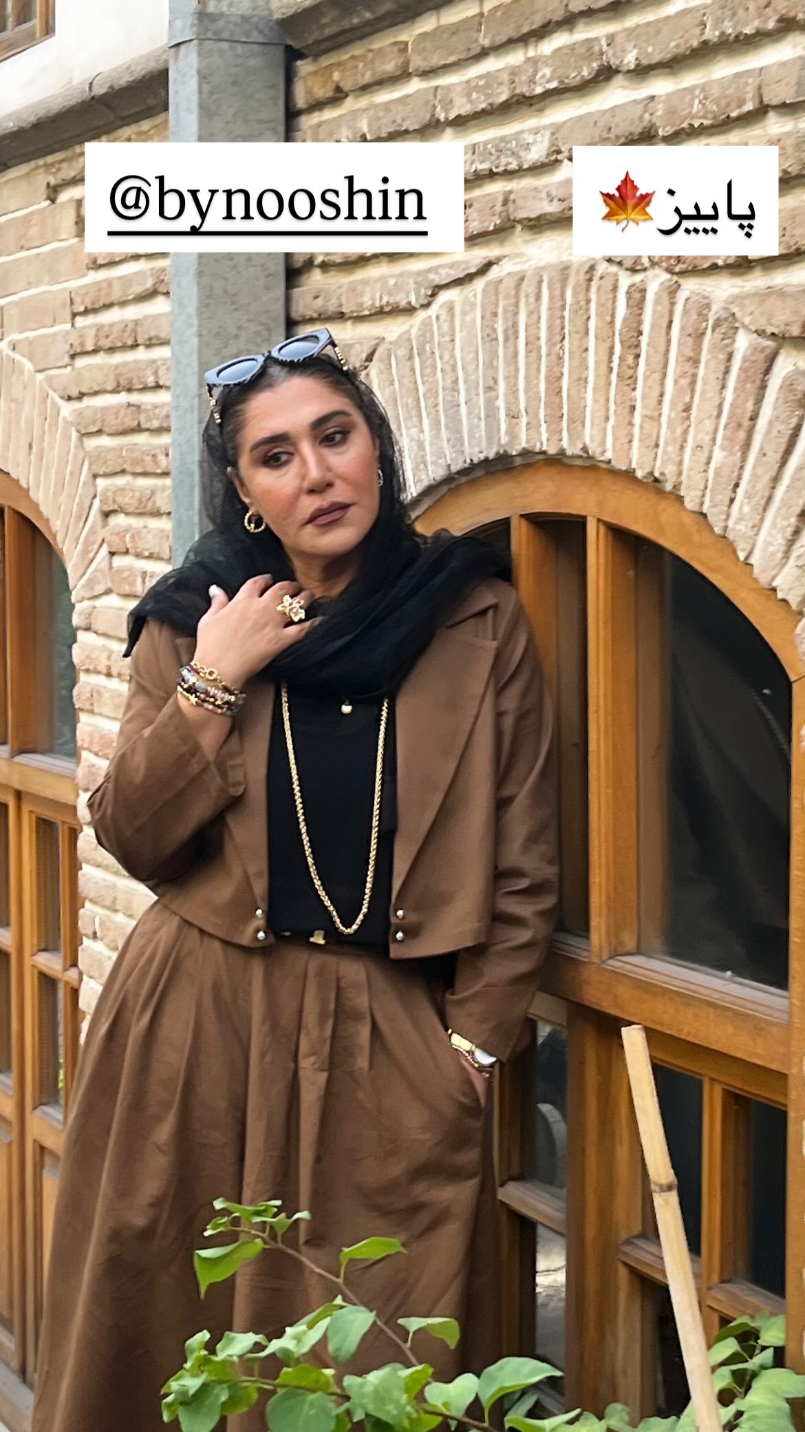  جدید ترین استوری اینستاگرام نسیم ادبی