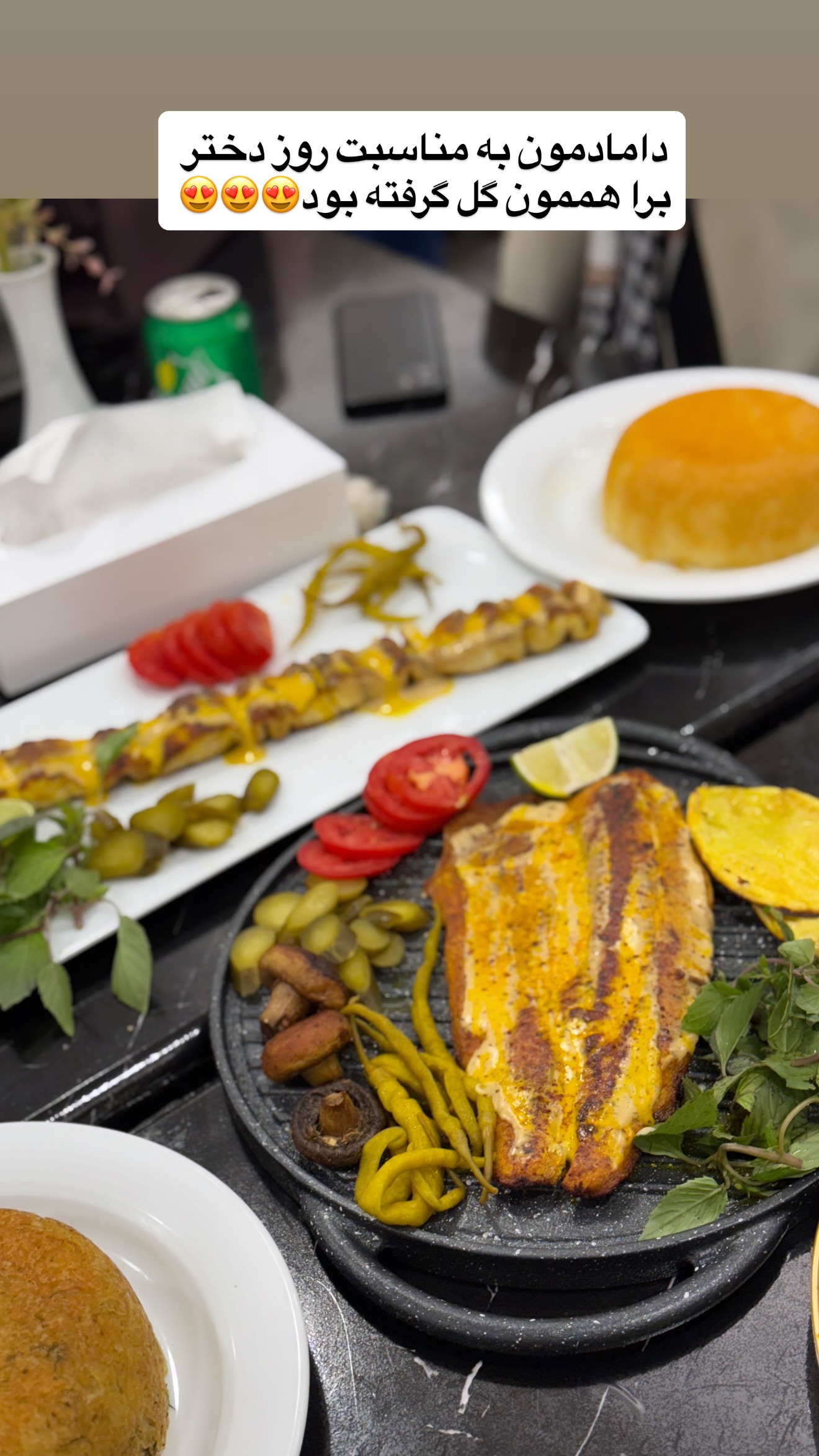  جدید ترین استوری اینستاگرام نسترن (خانواده تبریزی)