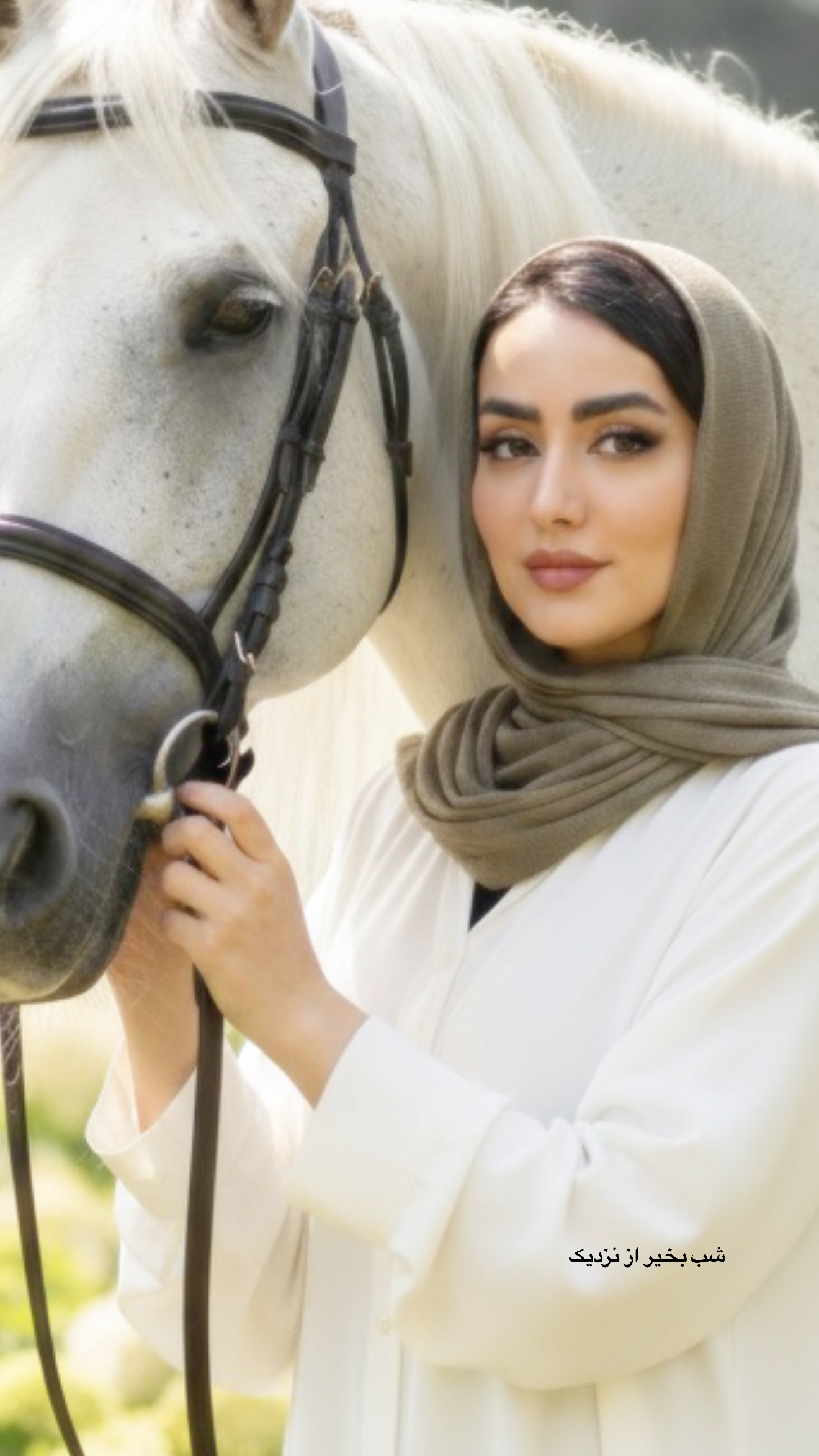  جدید ترین استوری اینستاگرام نسترن (خانواده تبریزی)
