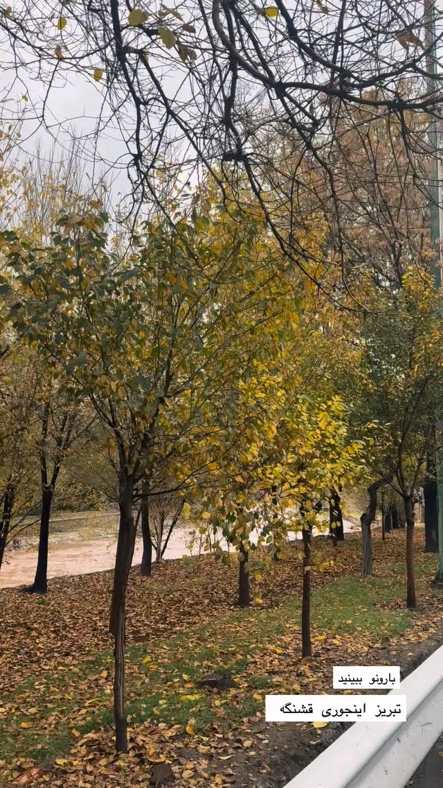  جدید ترین استوری اینستاگرام نسترن (خانواده تبریزی)