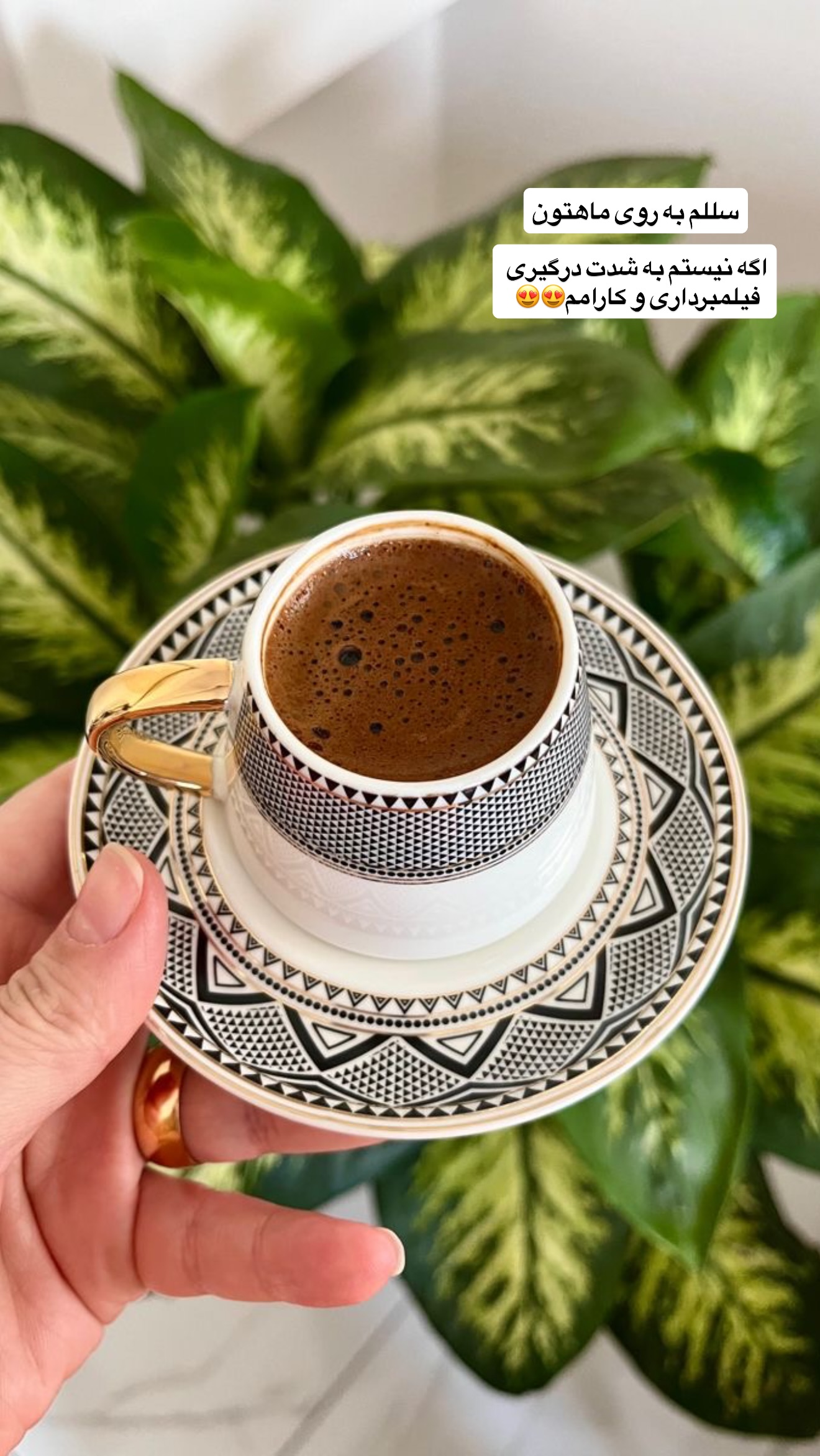 جدید ترین استوری اینستاگرام نسترن (خانواده تبریزی)