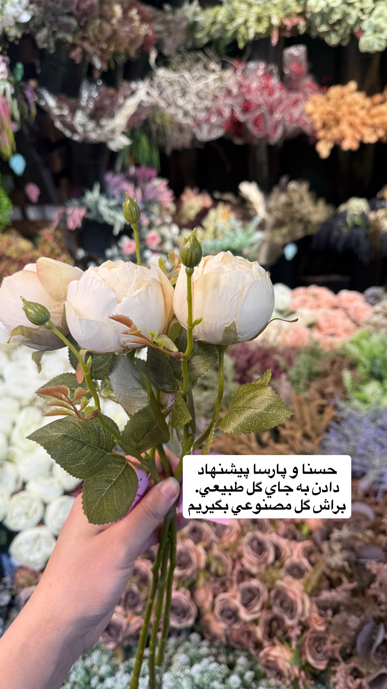  جدید ترین استوری اینستاگرام نسترن (خانواده تبریزی)