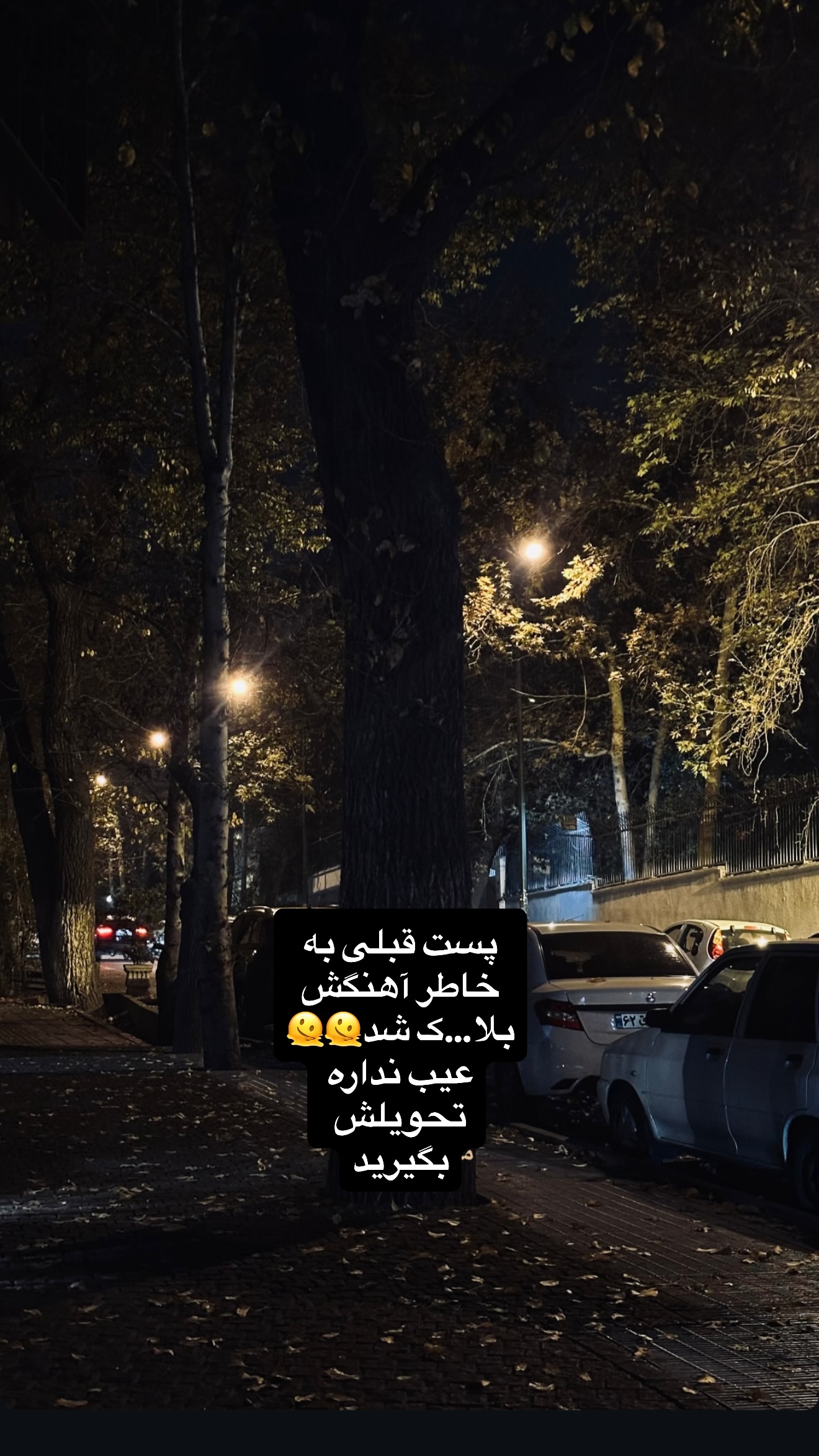  جدید ترین استوری اینستاگرام نسترن (خانواده تبریزی)