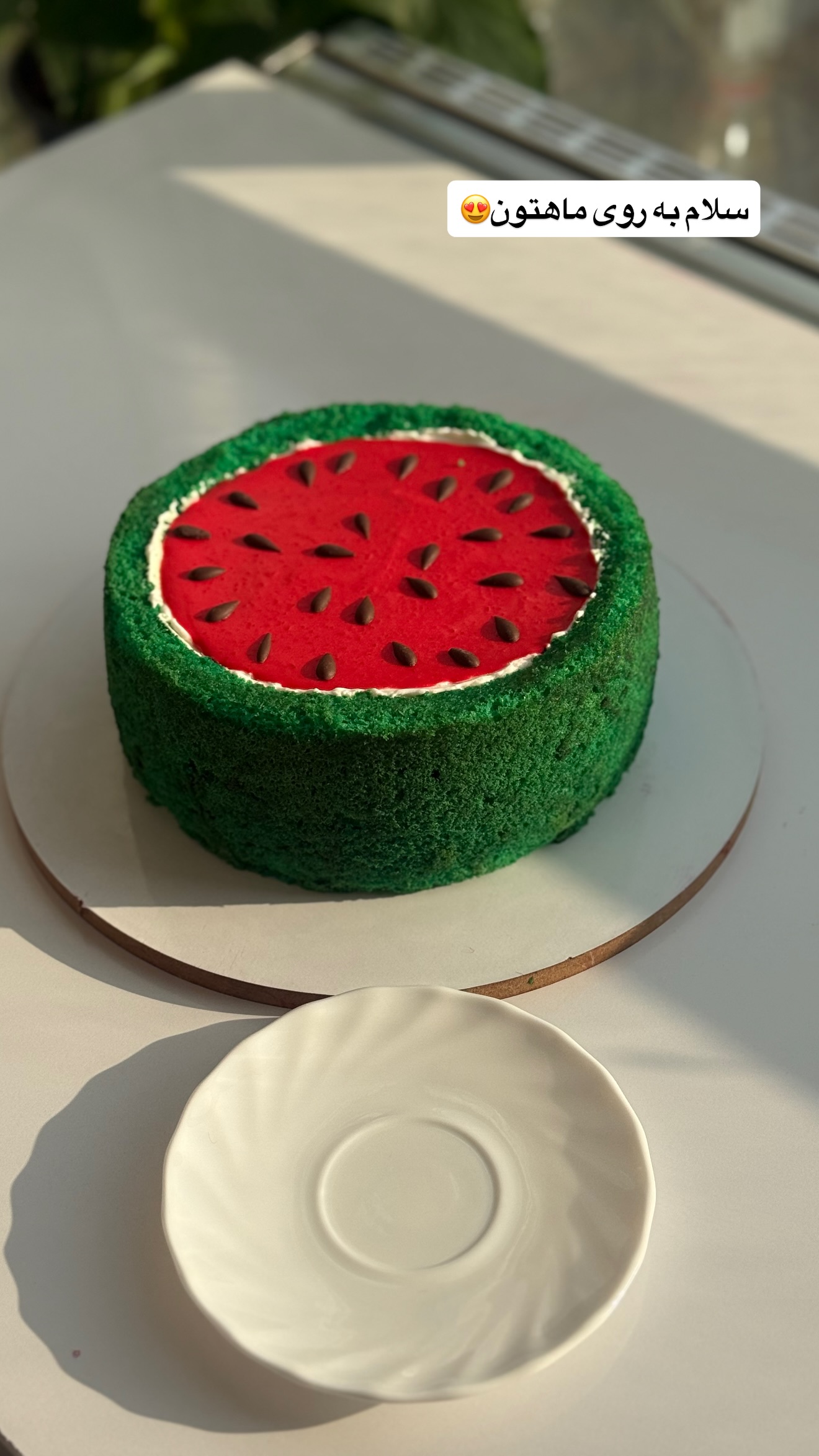  جدید ترین استوری اینستاگرام نسترن (خانواده تبریزی)