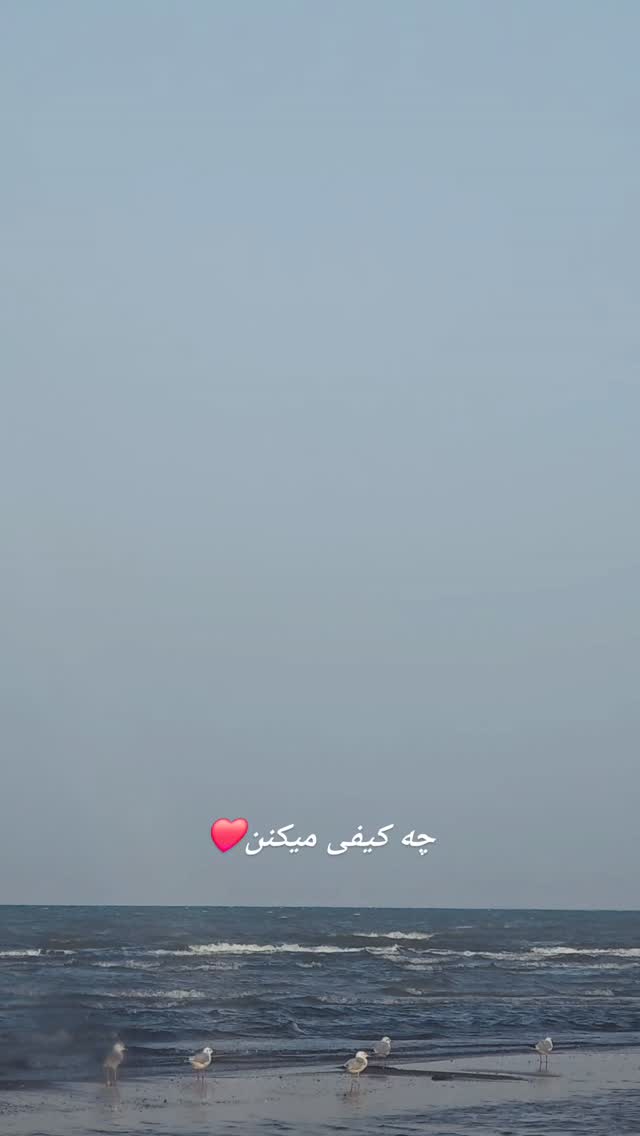  جدید ترین استوری اینستاگرام نسیرن پور جواد خواه