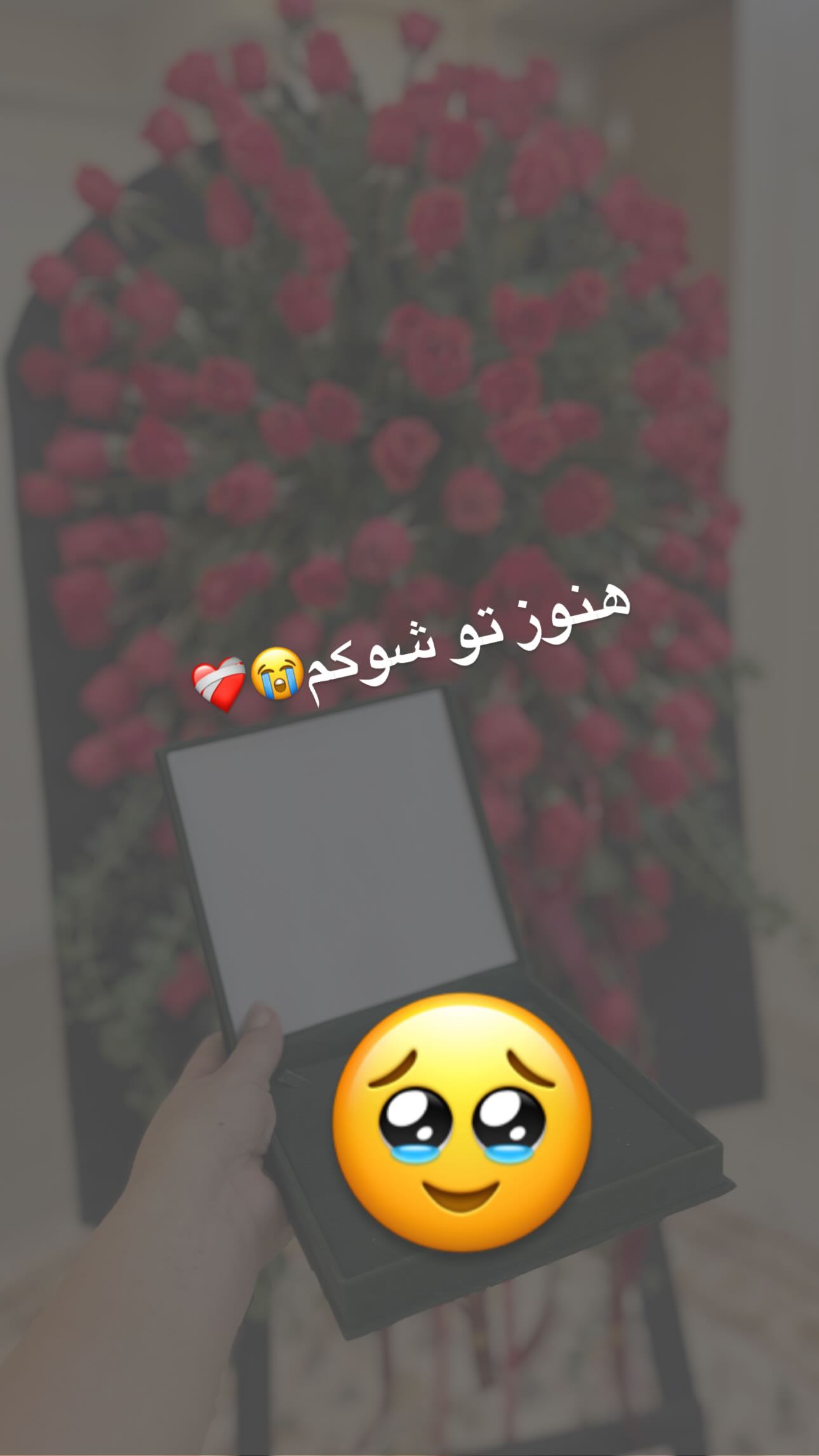  جدید ترین استوری اینستاگرام نسترن اکبری