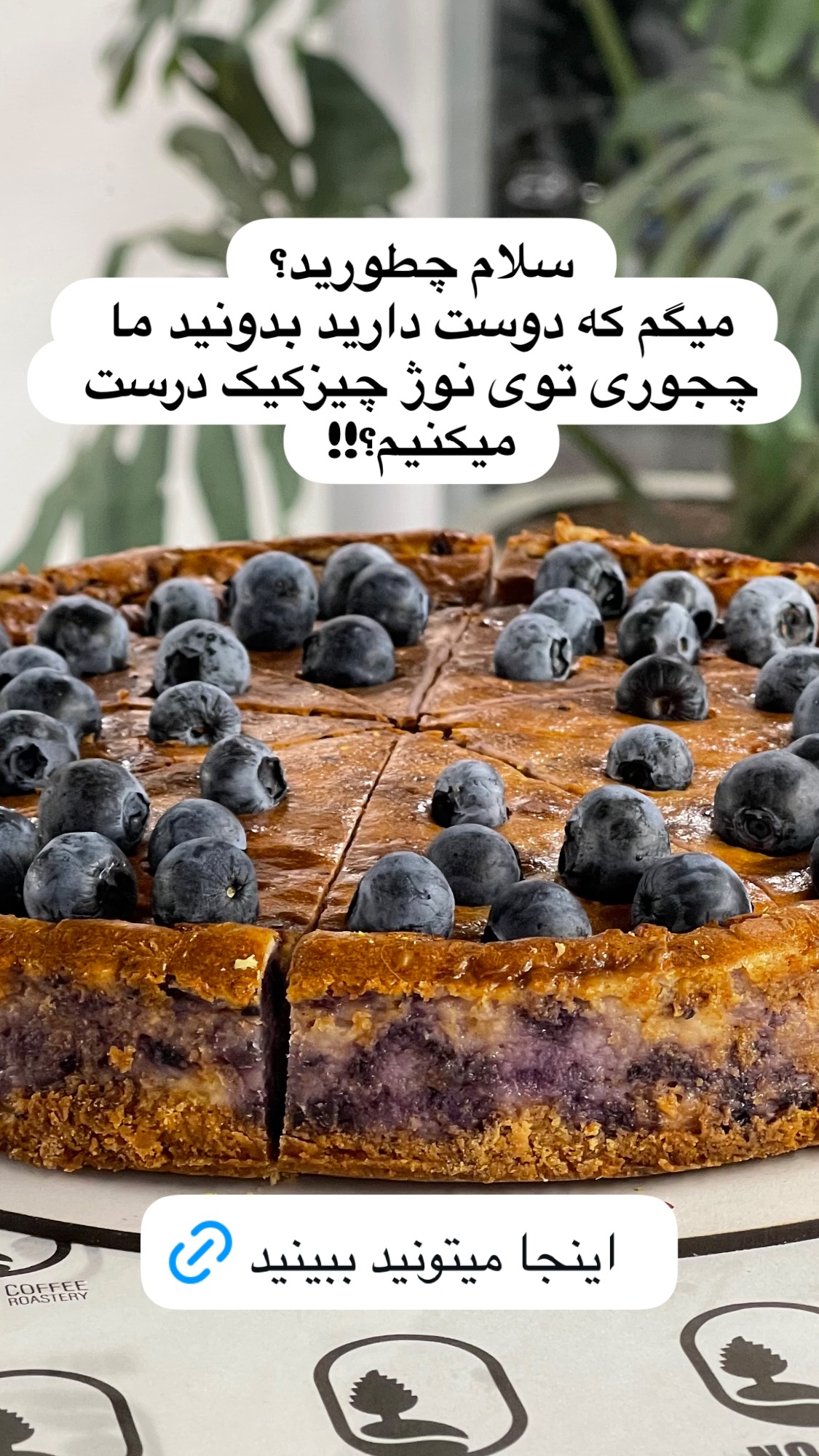  جدید ترین استوری اینستاگرام نواب ابراهیمی