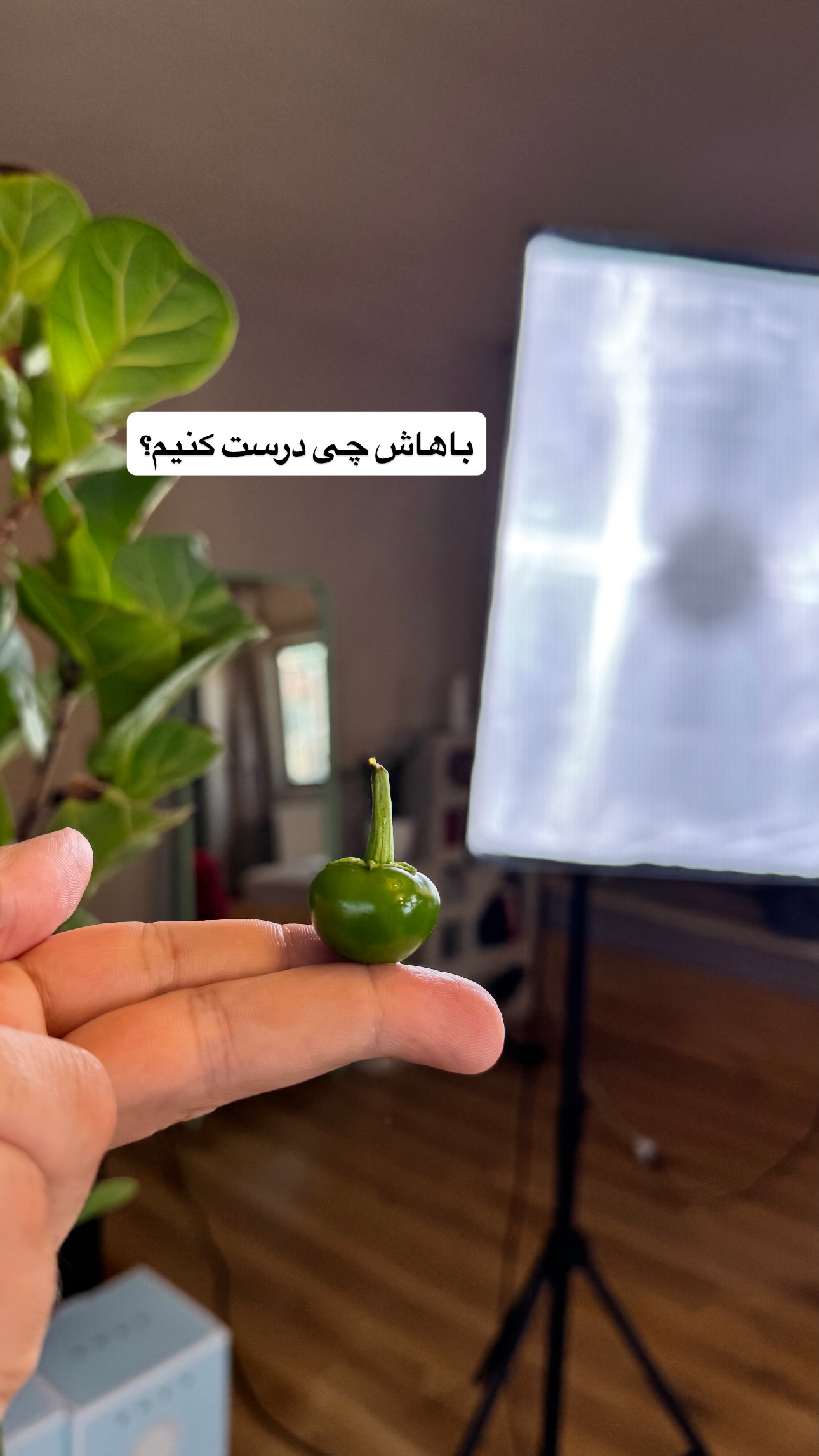  جدید ترین استوری اینستاگرام نوید غیاثی